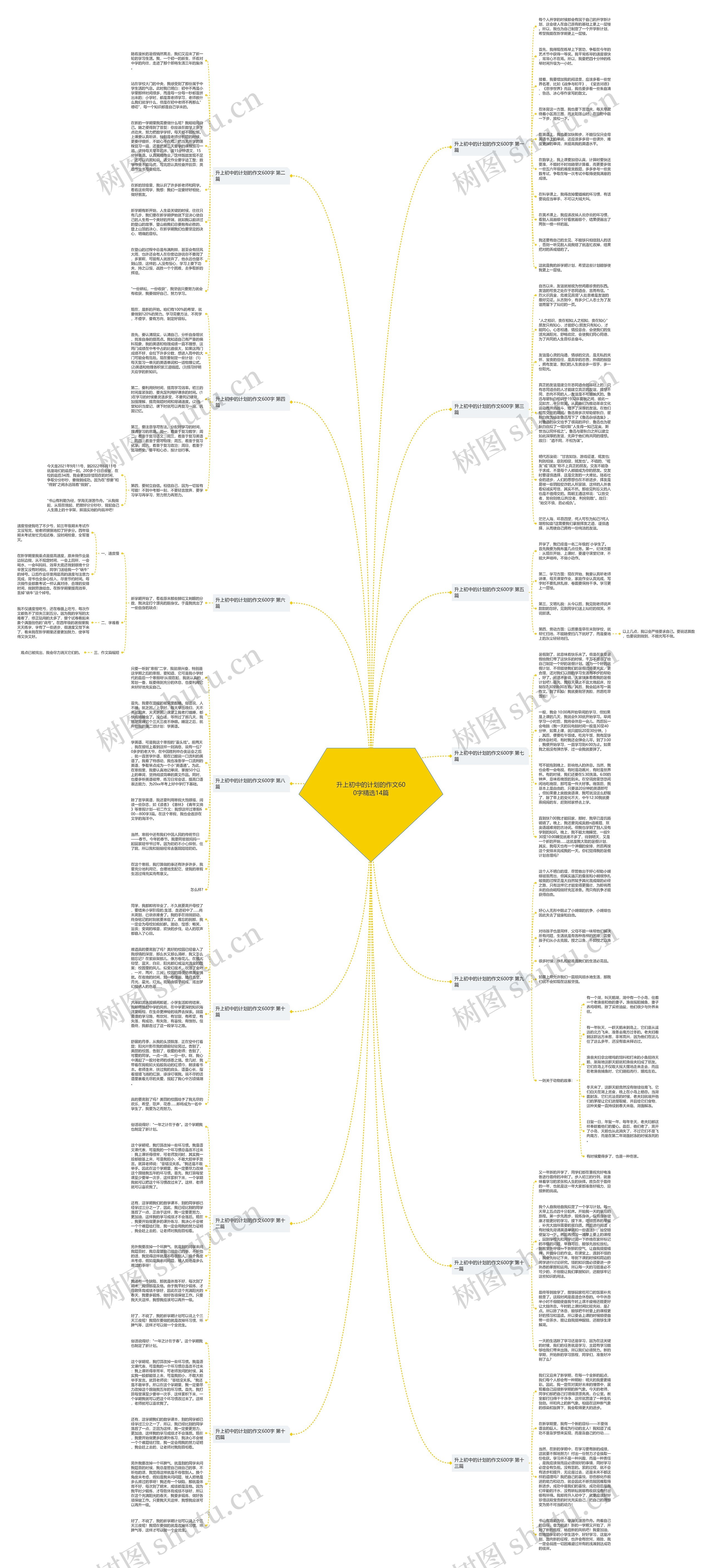 升上初中的计划的作文600字精选14篇思维导图