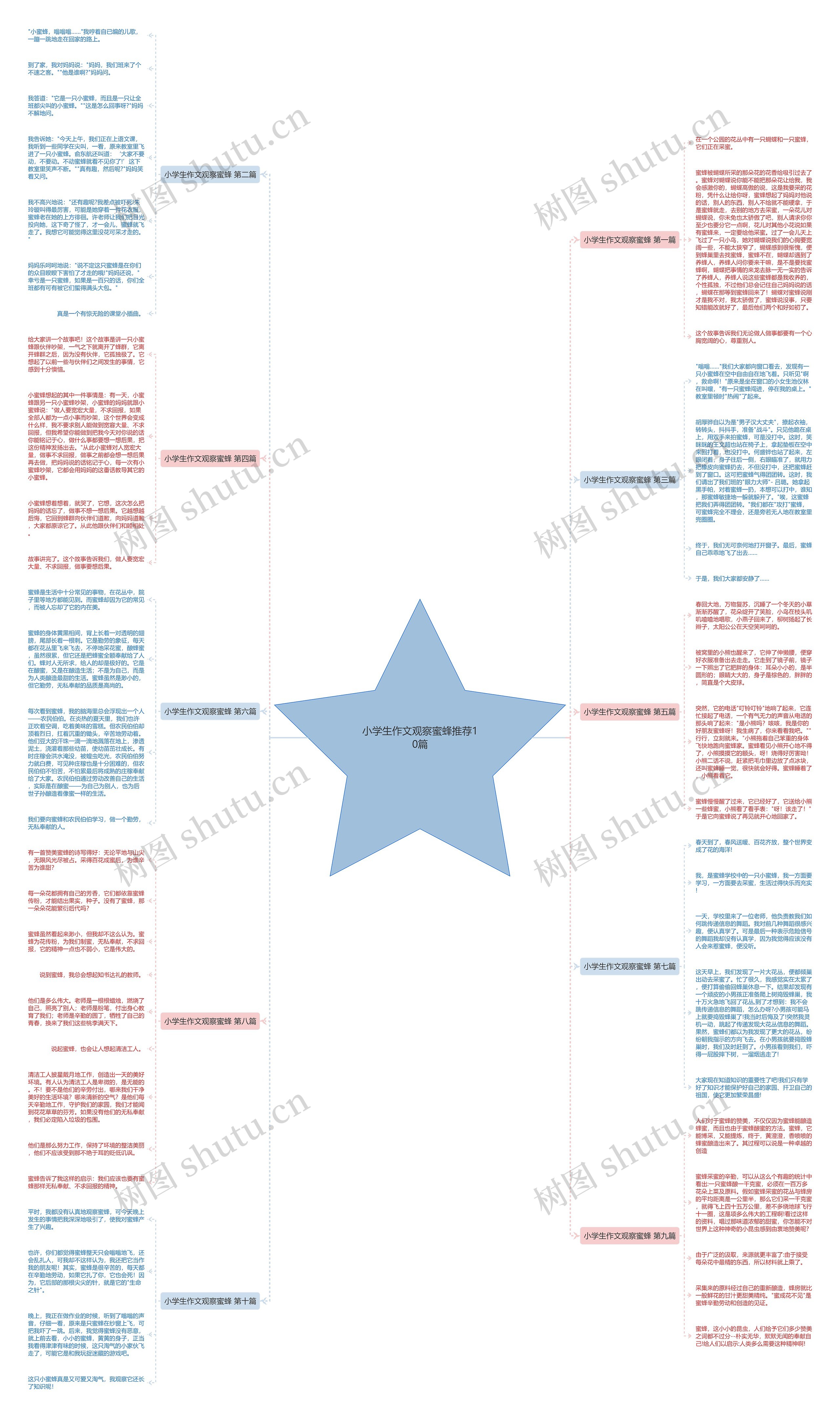 小学生作文观察蜜蜂推荐10篇思维导图