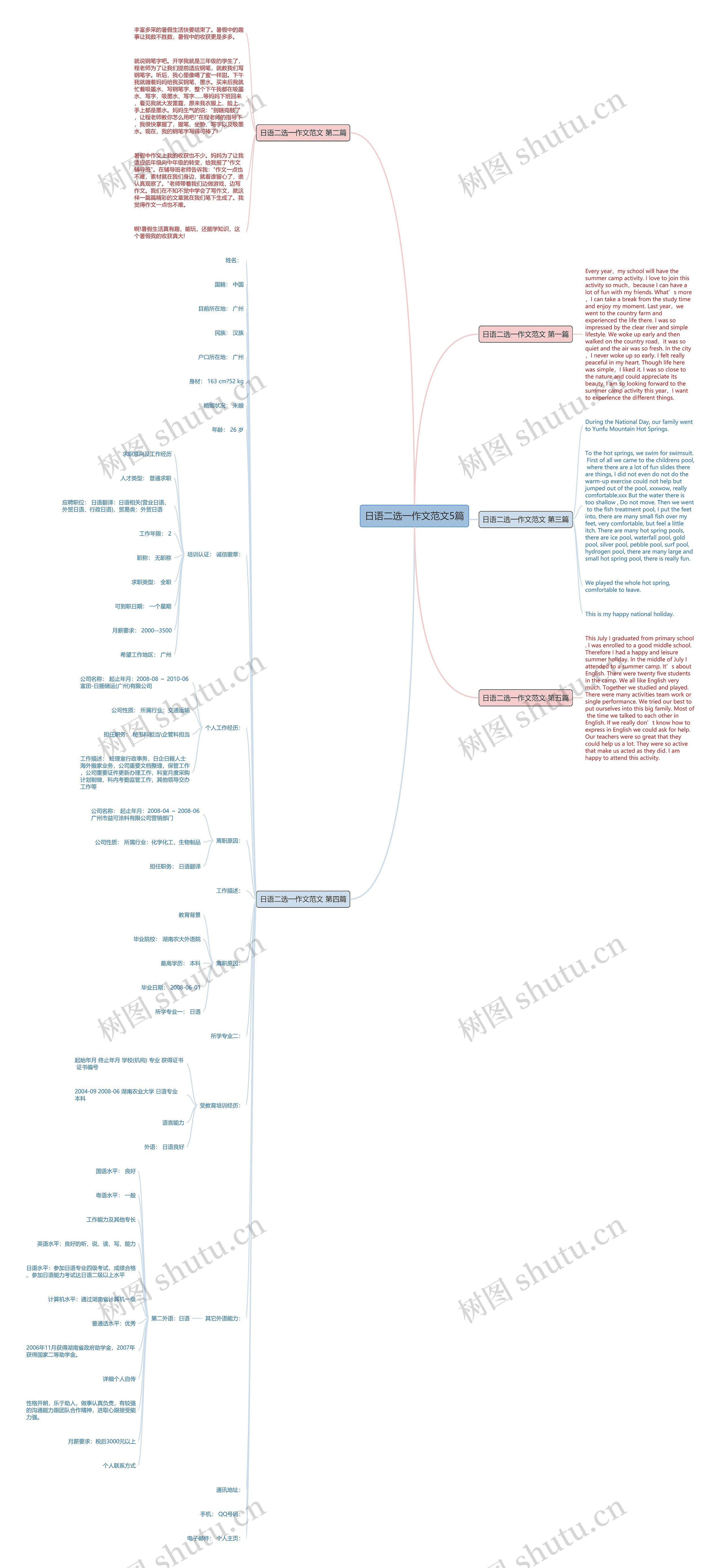 日语二选一作文范文5篇思维导图