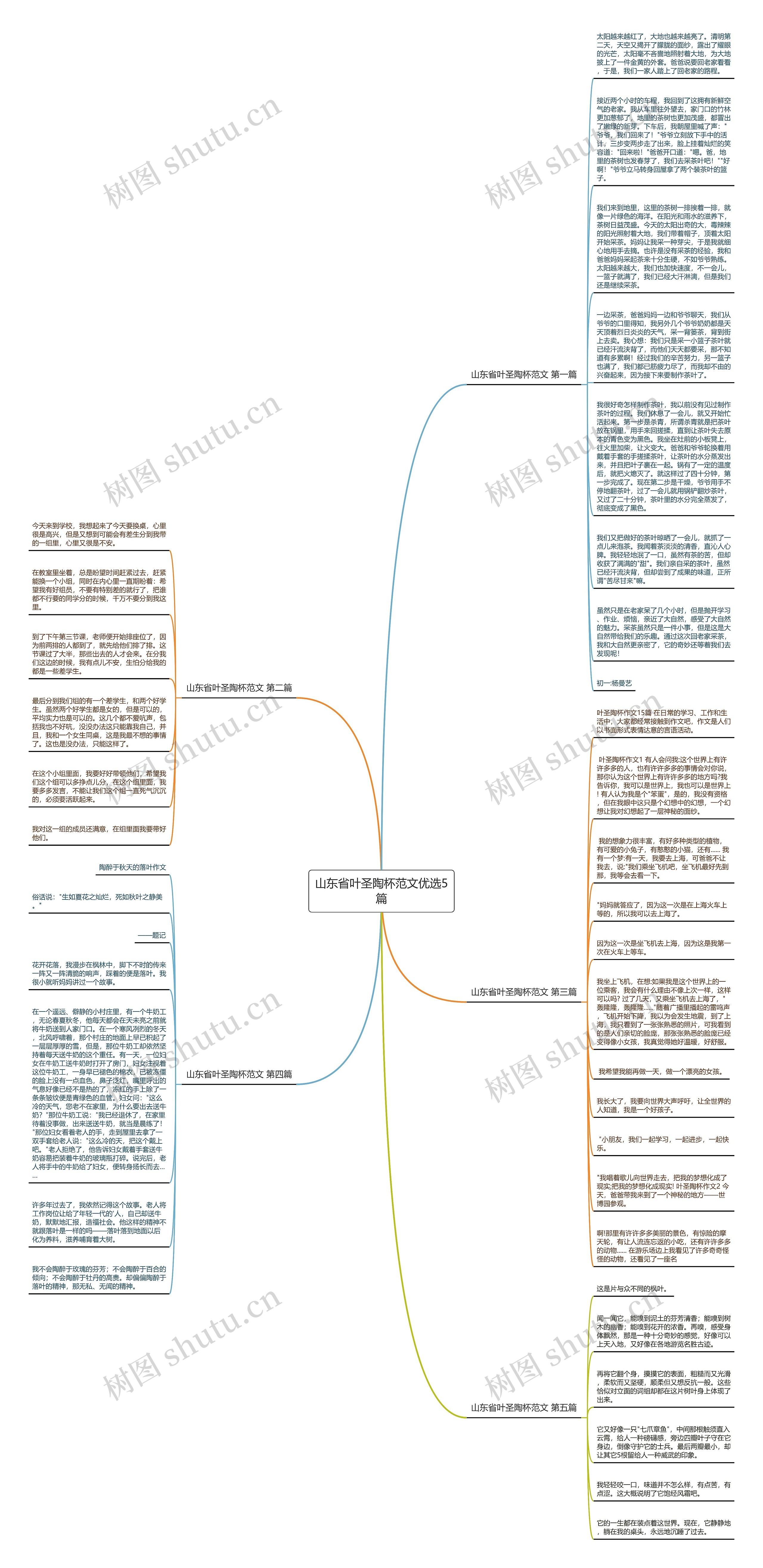山东省叶圣陶杯范文优选5篇思维导图