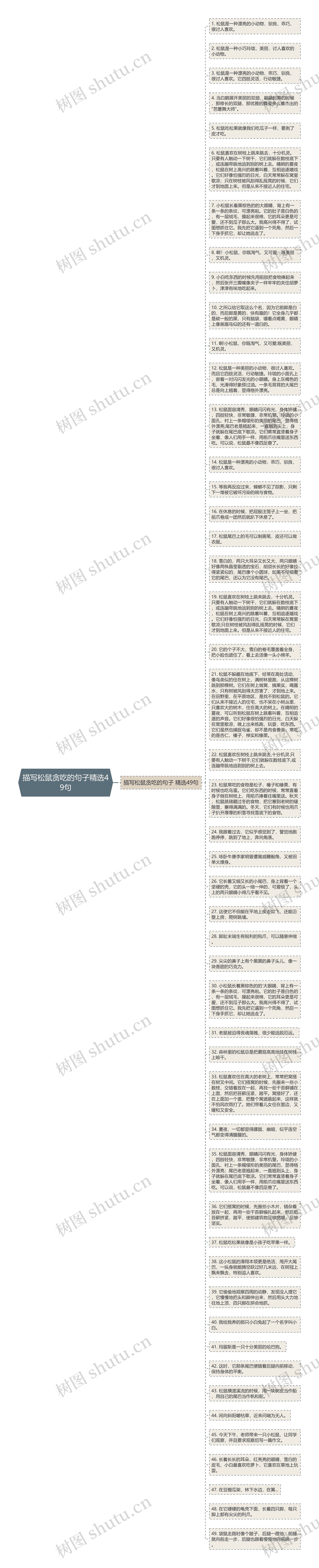 描写松鼠贪吃的句子精选49句思维导图