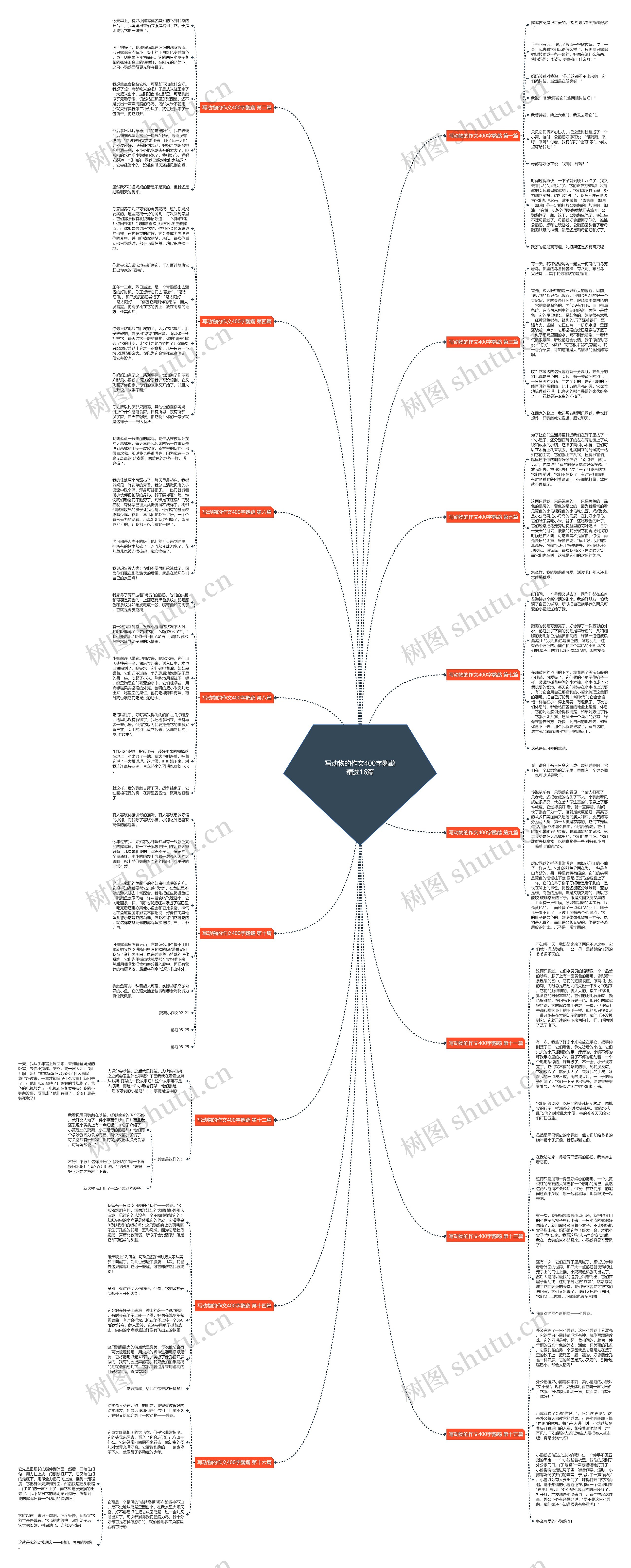 写动物的作文400字鹦鹉精选16篇思维导图