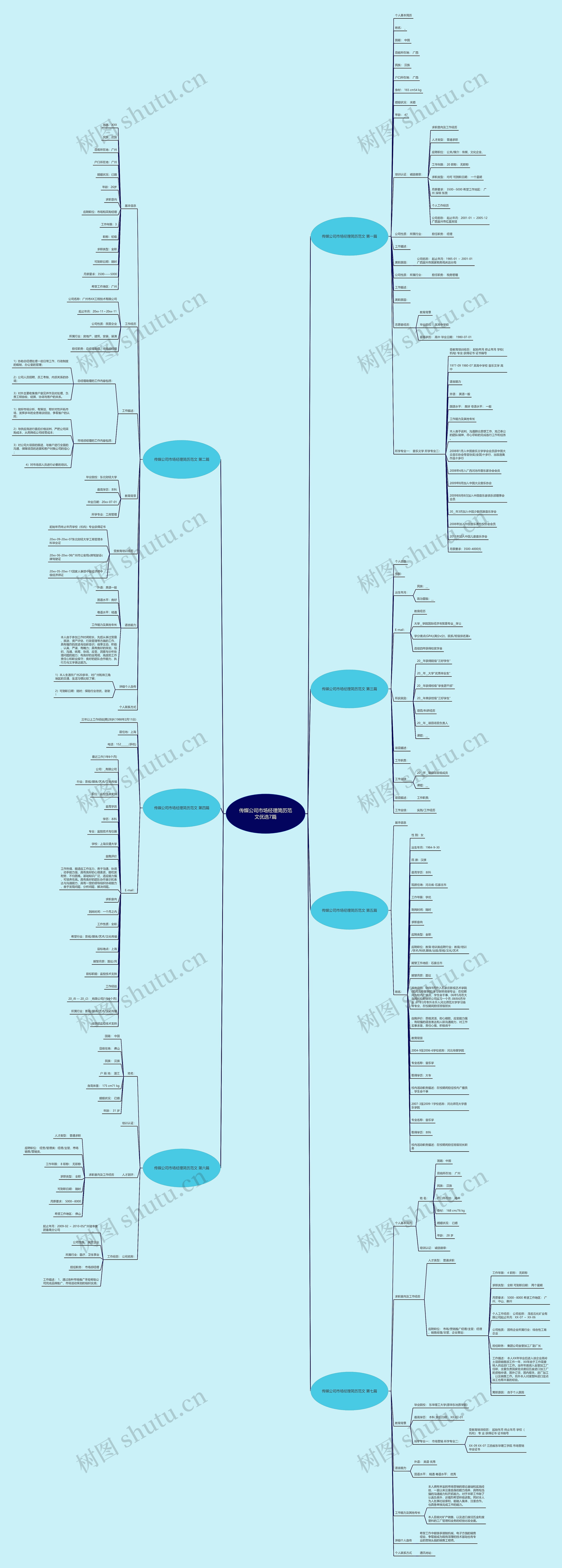 传媒公司市场经理简历范文优选7篇思维导图