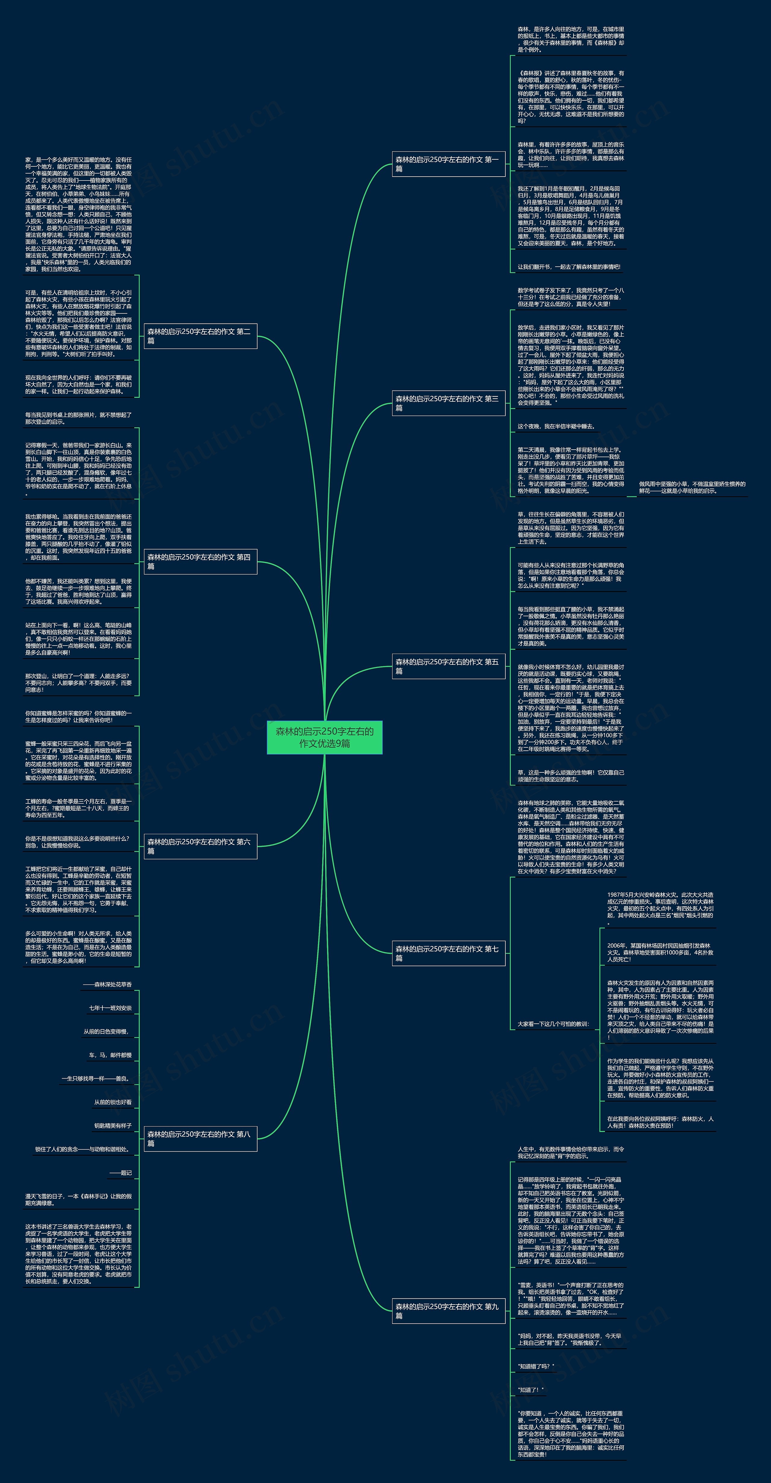 森林的启示250字左右的作文优选9篇思维导图