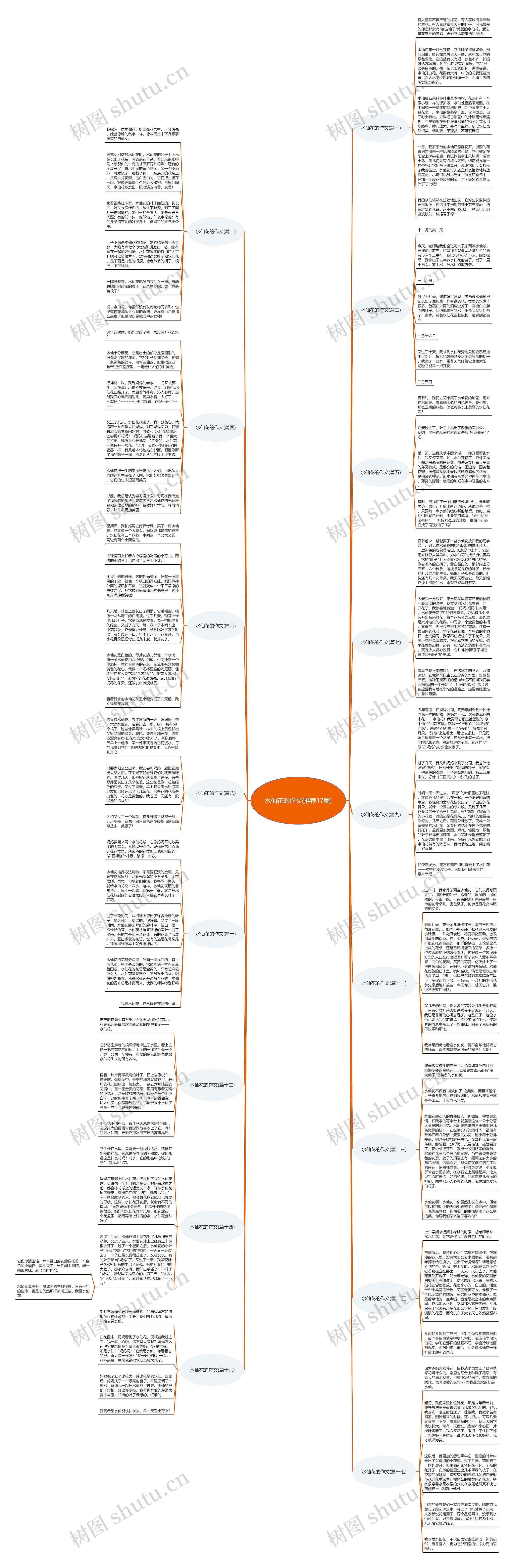 水仙花的作文(推荐17篇)思维导图