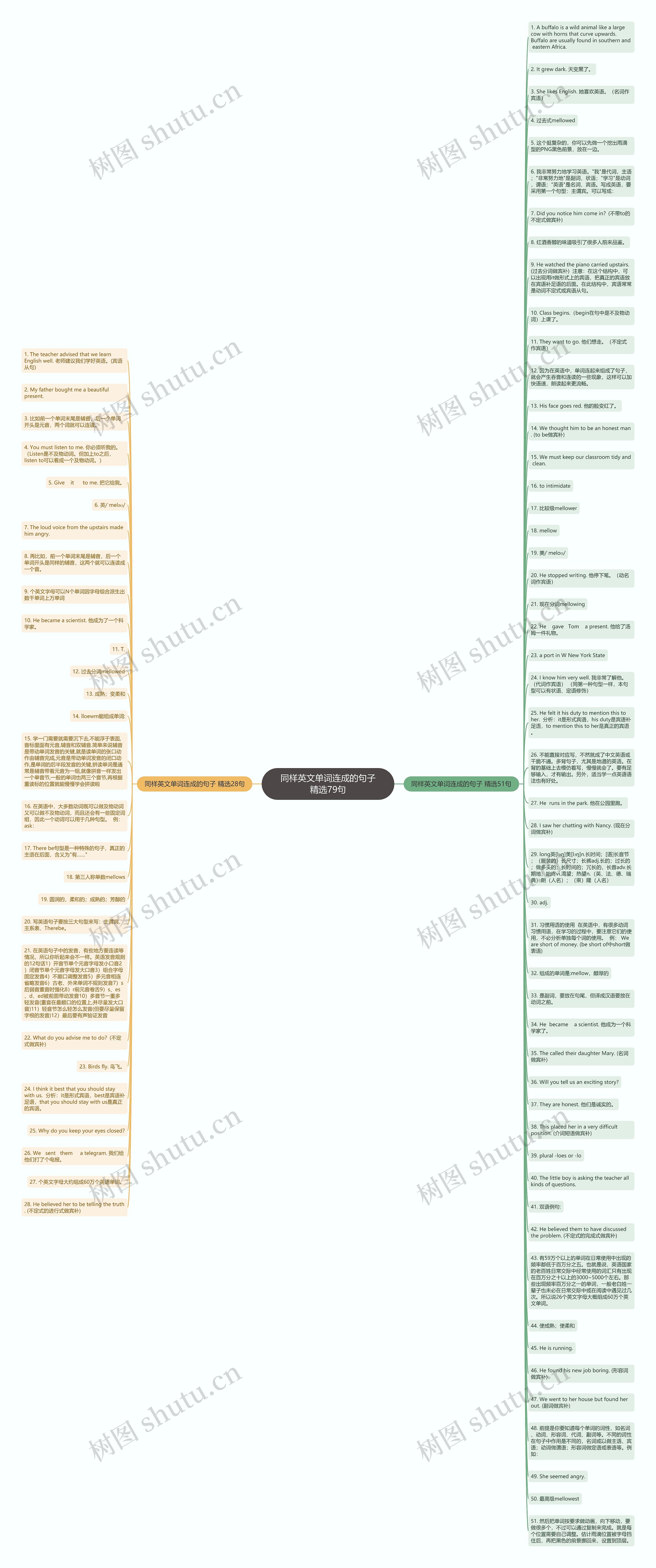 同样英文单词连成的句子精选79句思维导图