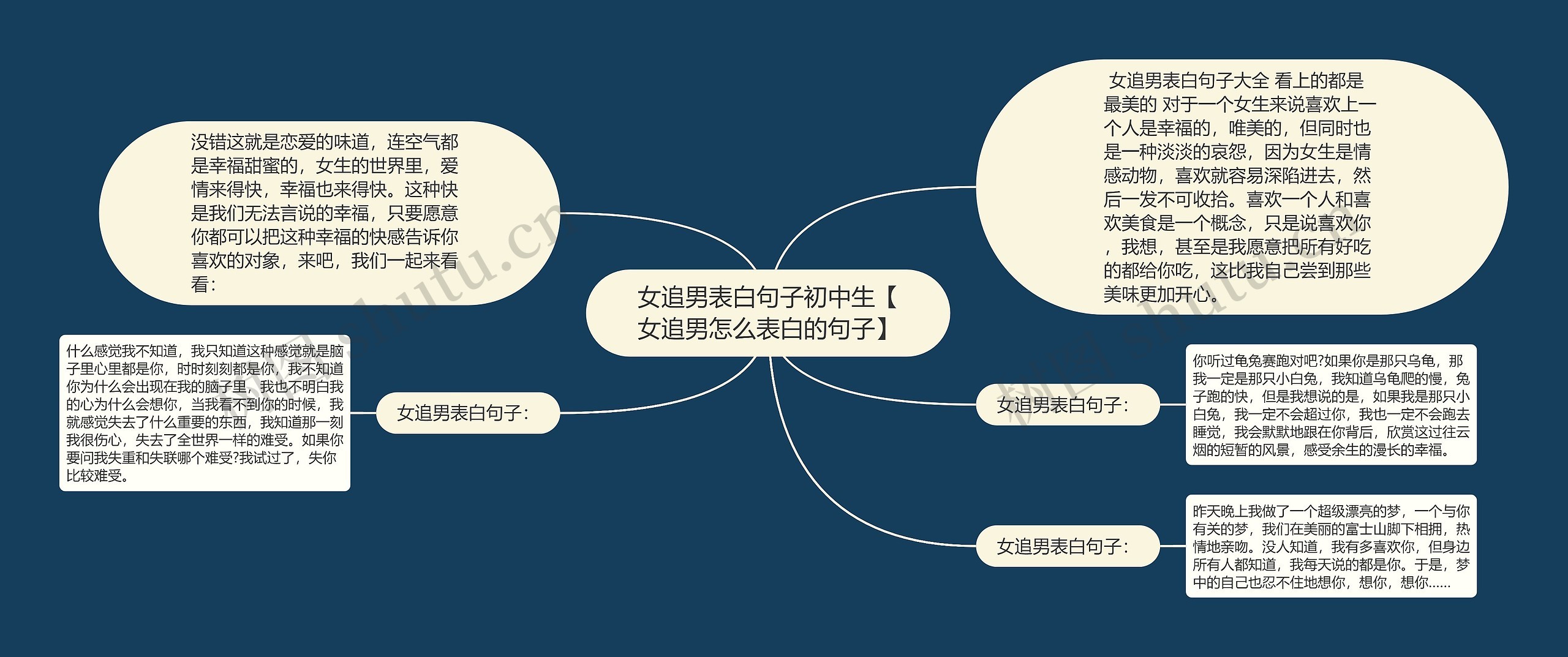 女追男表白句子初中生【女追男怎么表白的句子】思维导图