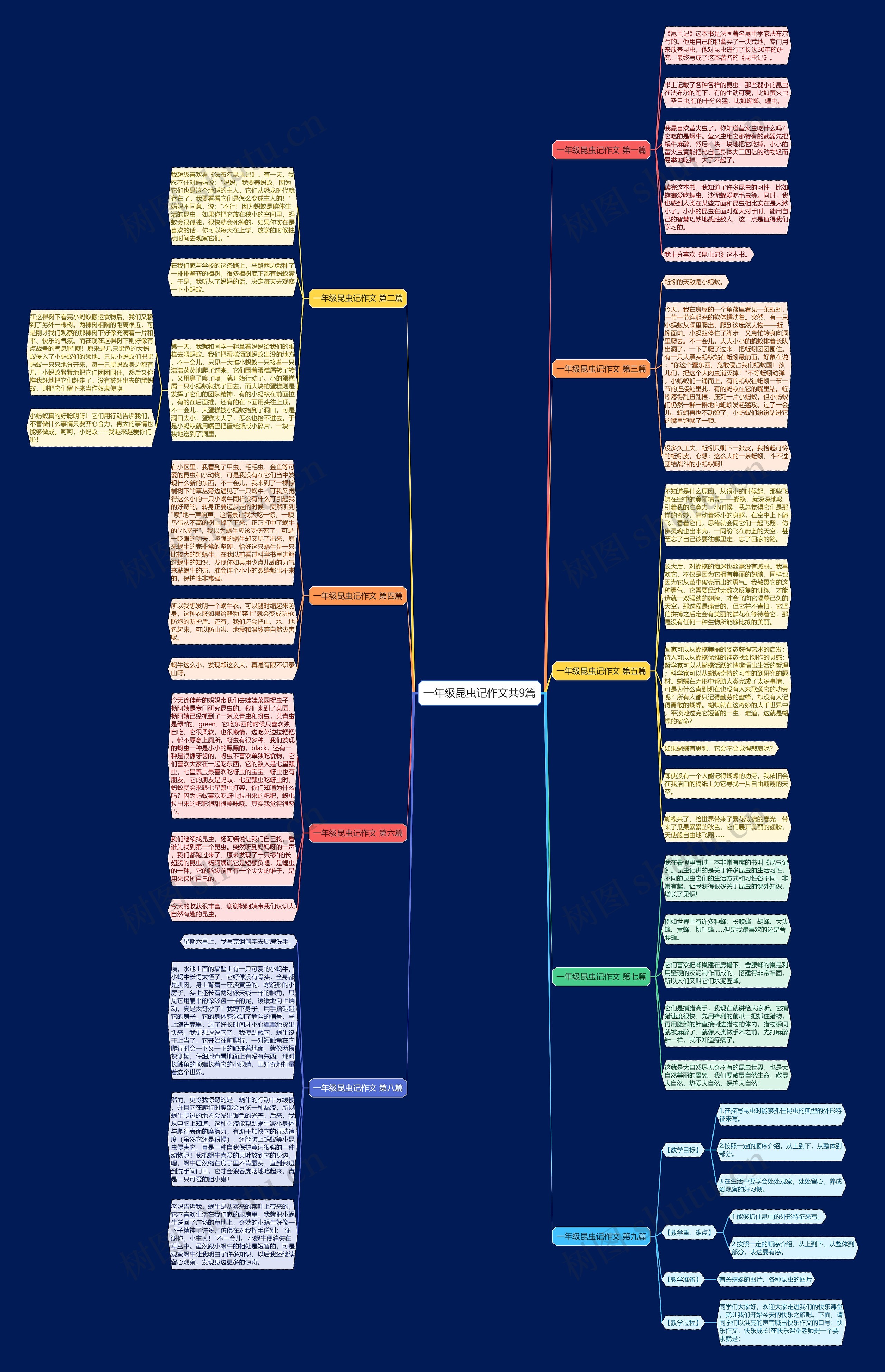 一年级昆虫记作文共9篇思维导图