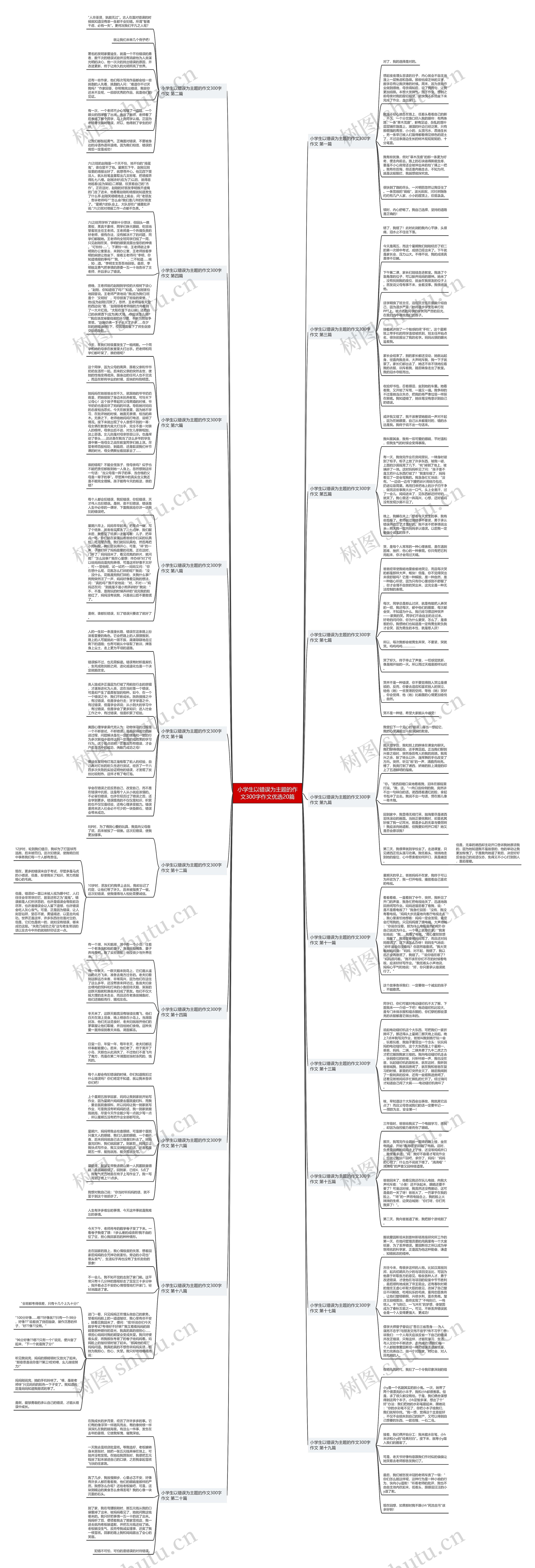 小学生以错误为主题的作文300字作文优选20篇思维导图