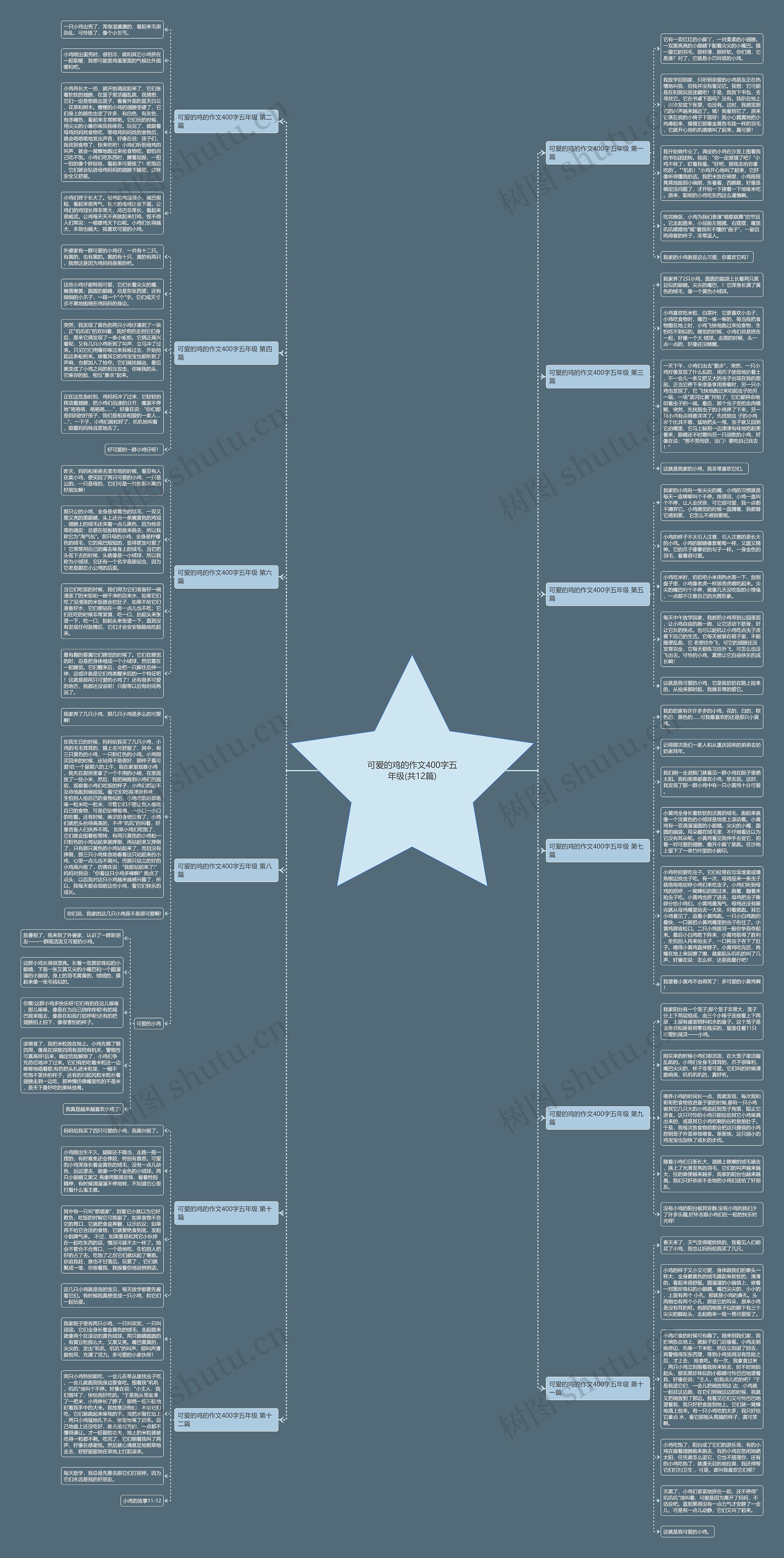可爱的鸡的作文400字五年级(共12篇)思维导图