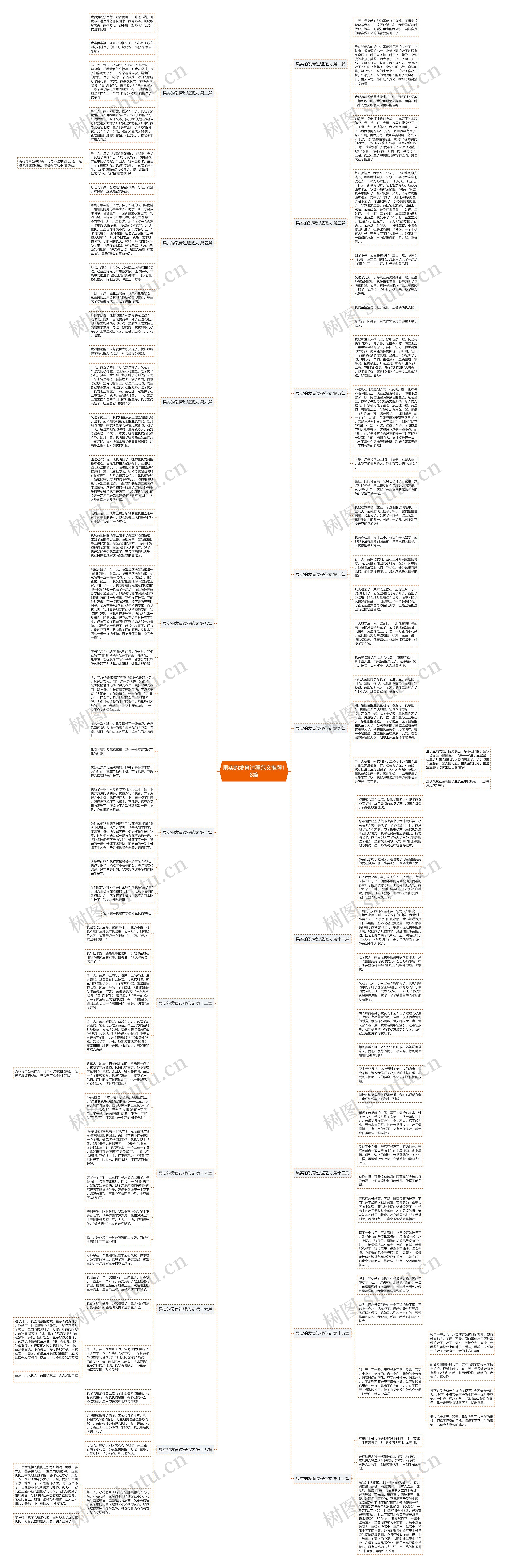 果实的发育过程范文推荐18篇思维导图