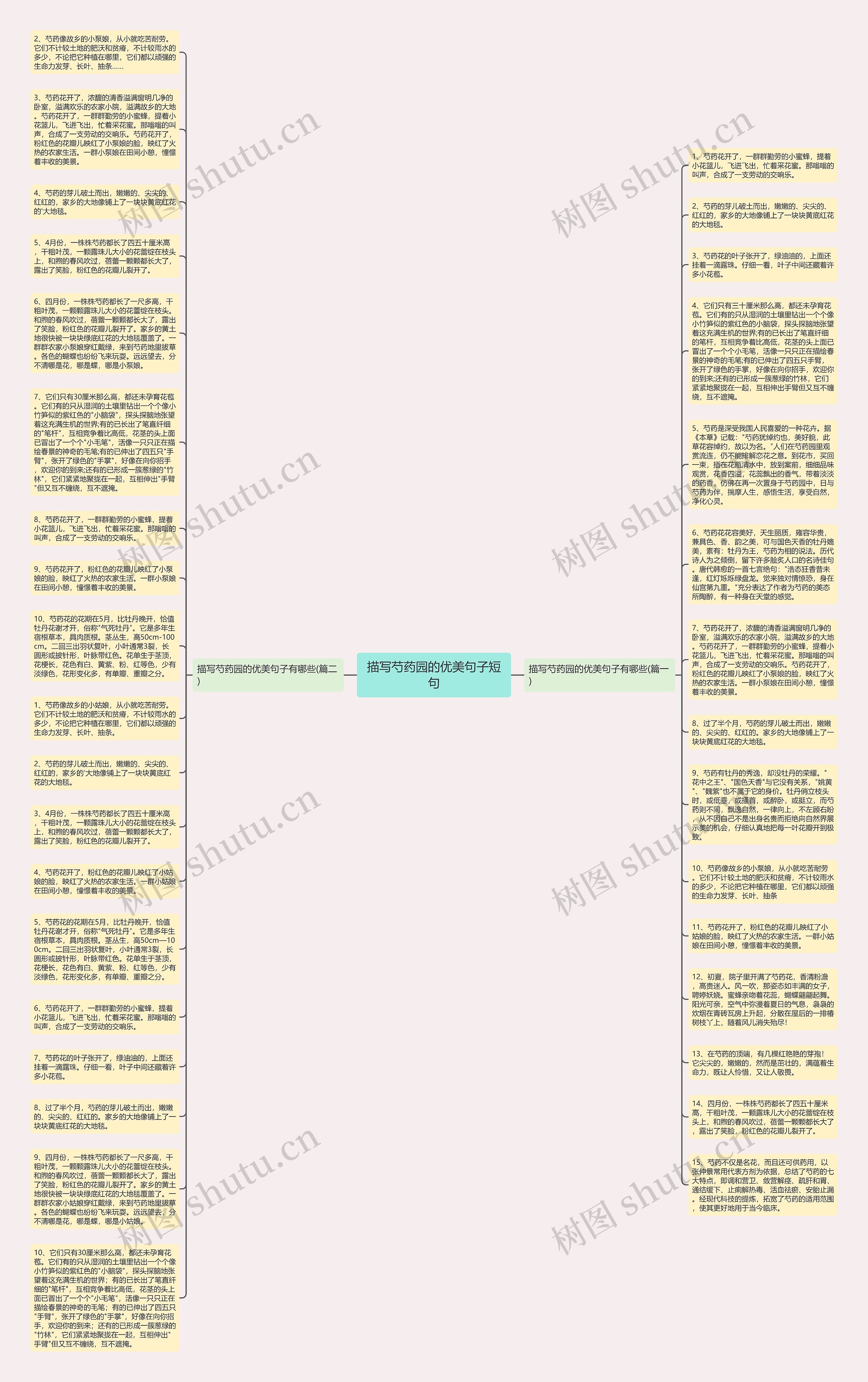 描写芍药园的优美句子短句思维导图