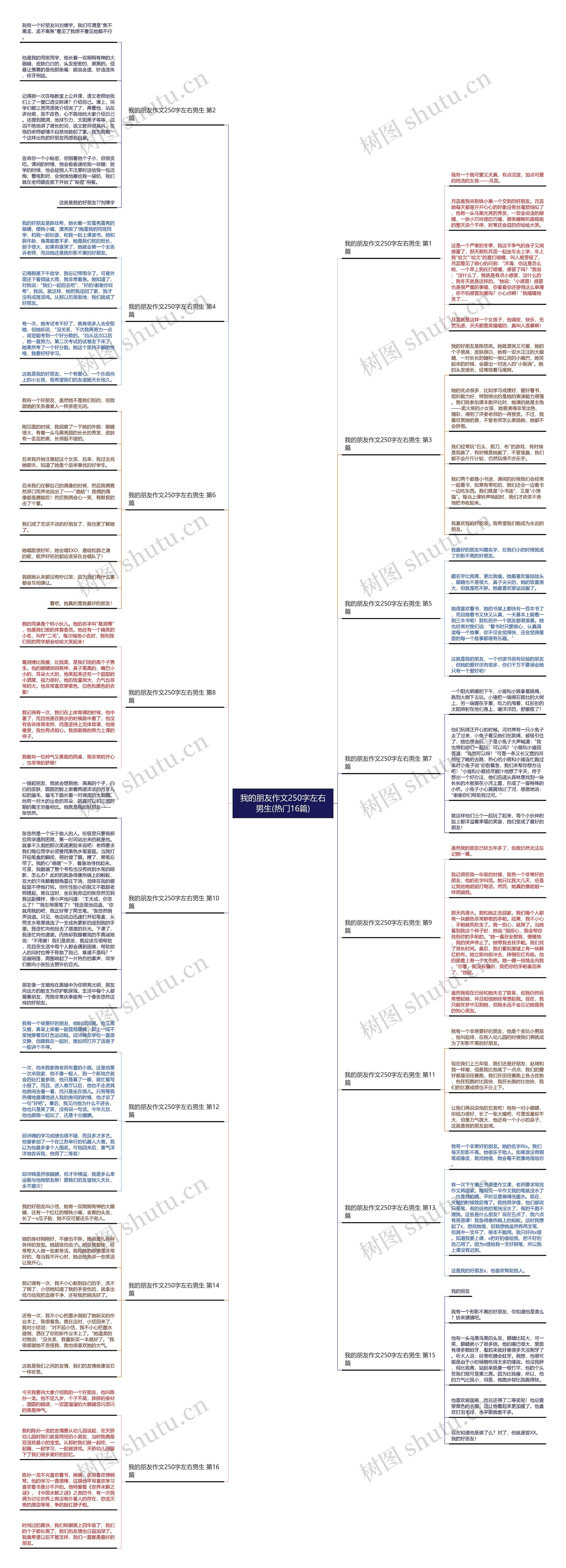 我的朋友作文250字左右男生(热门16篇)思维导图