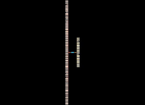 和知己有关的句子精选133句