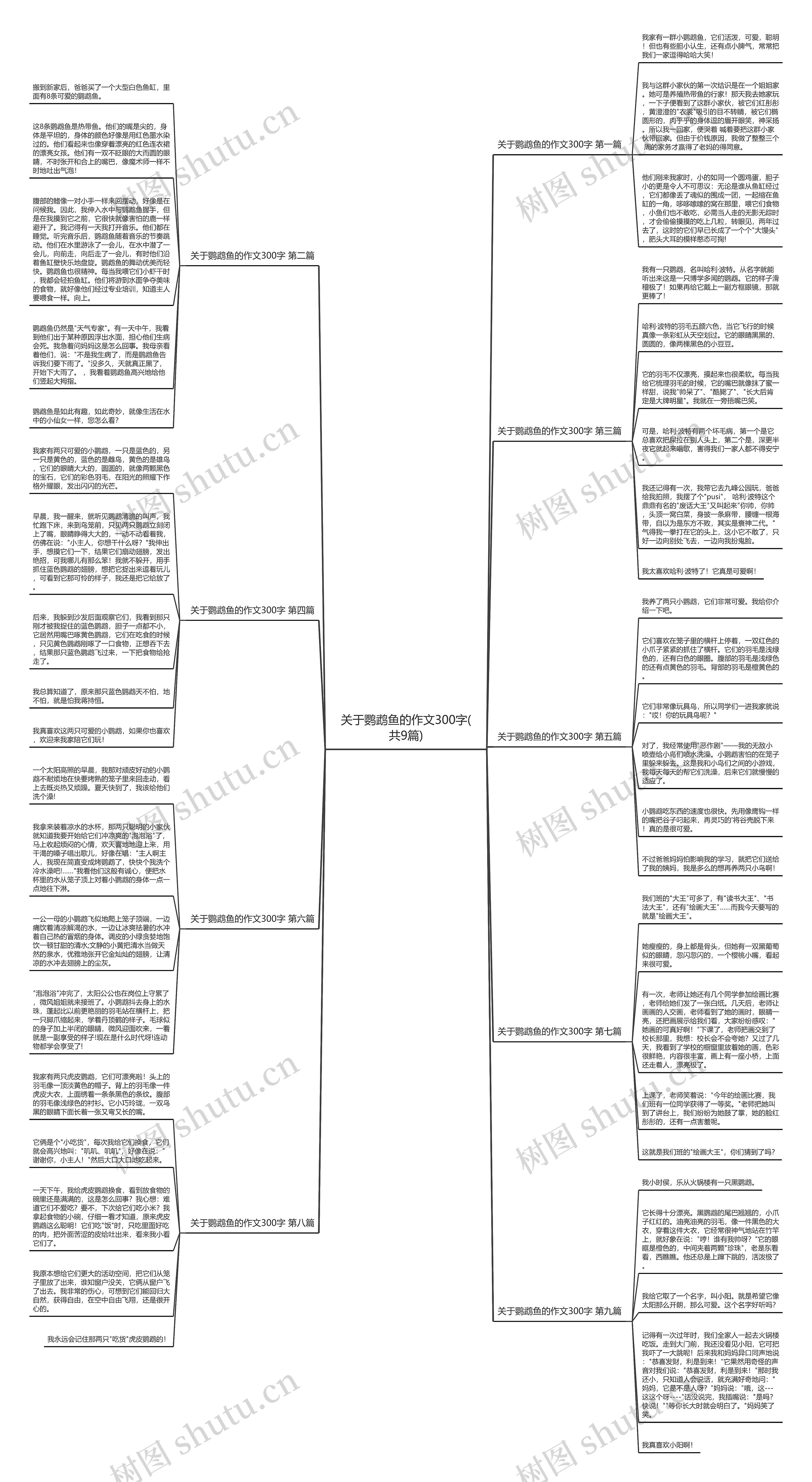 关于鹦鹉鱼的作文300字(共9篇)思维导图