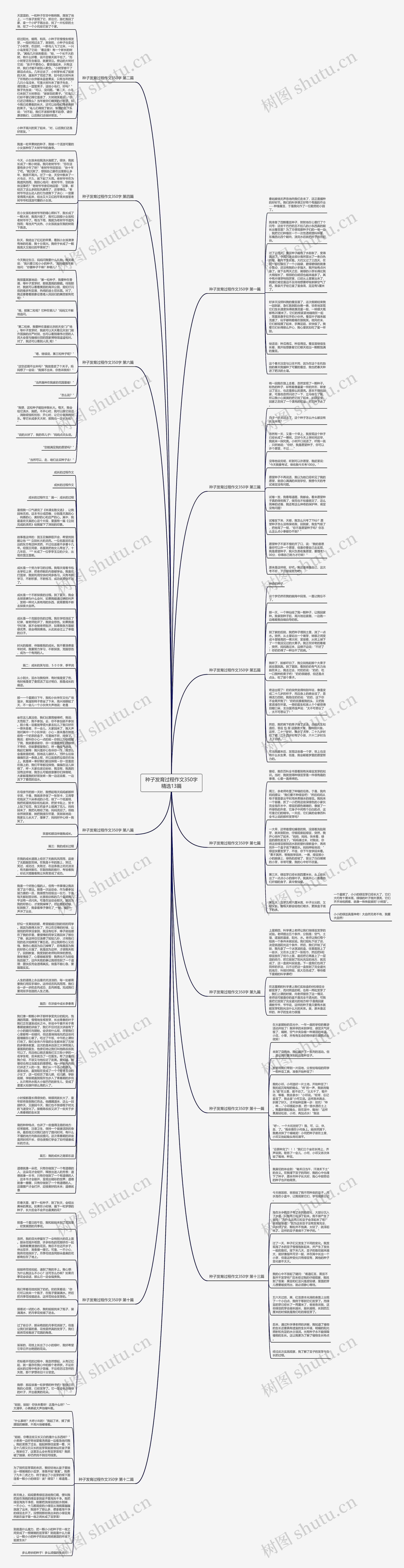 种子发育过程作文350字精选13篇思维导图