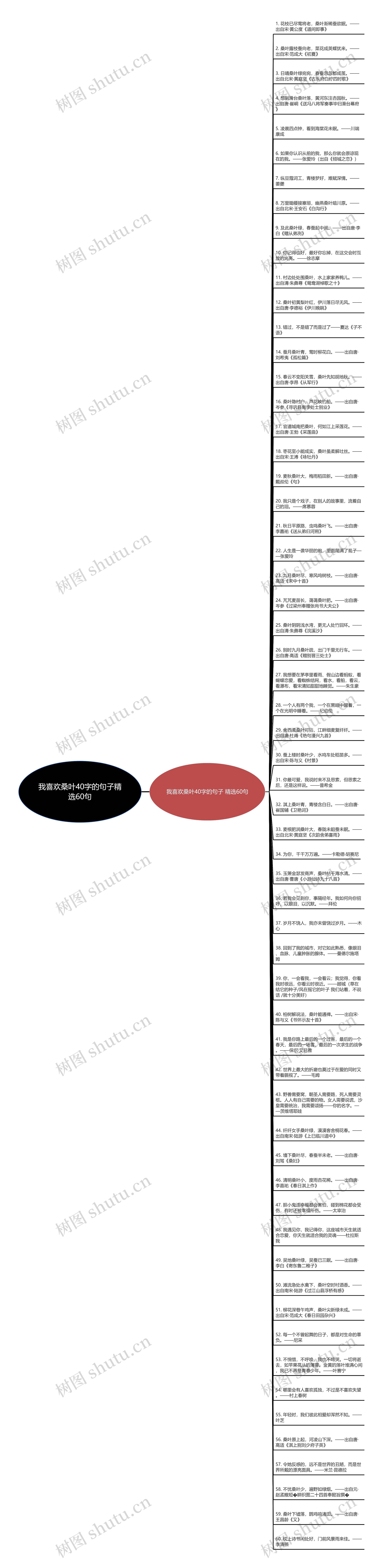 我喜欢桑叶40字的句子精选60句思维导图