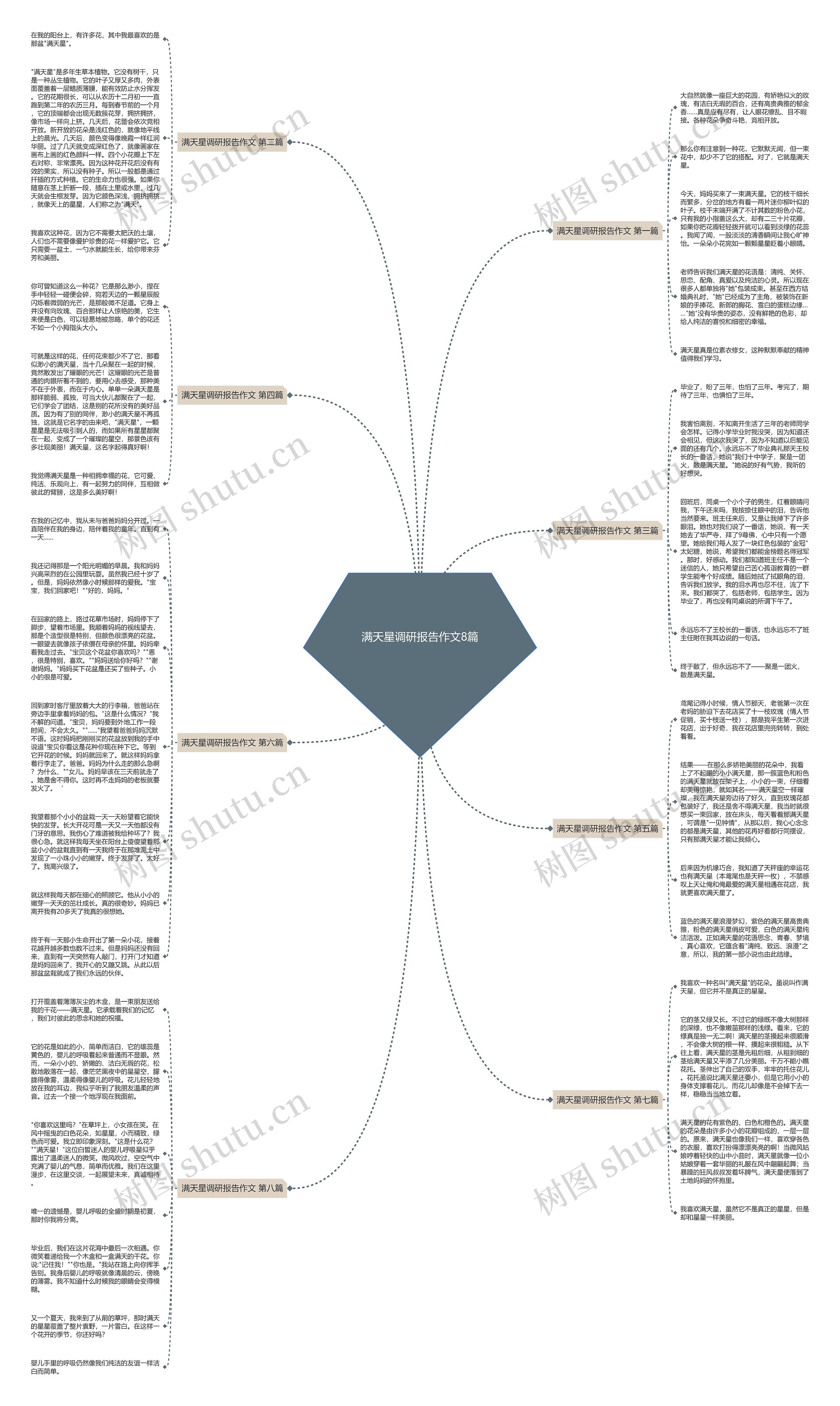 满天星调研报告作文8篇思维导图高清图 满天星调研报告作文8篇思维导图