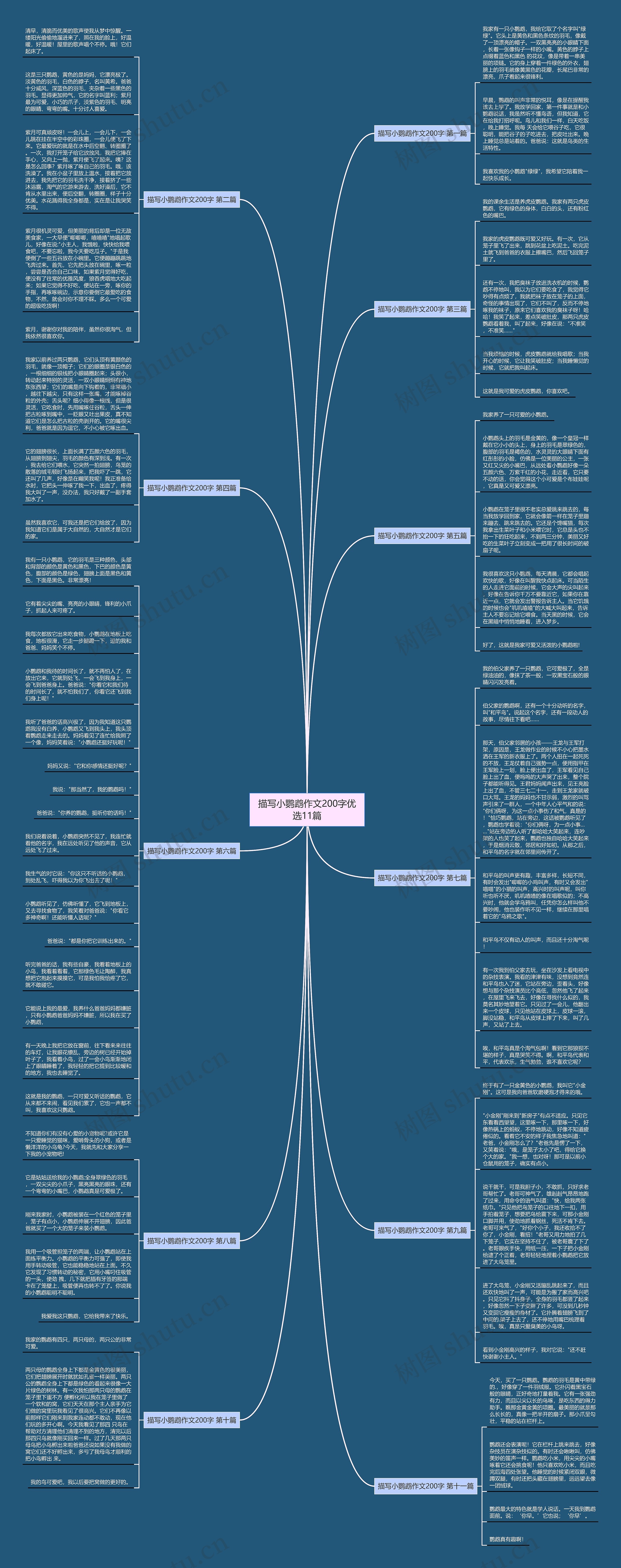 描写小鹦鹉作文200字优选11篇思维导图
