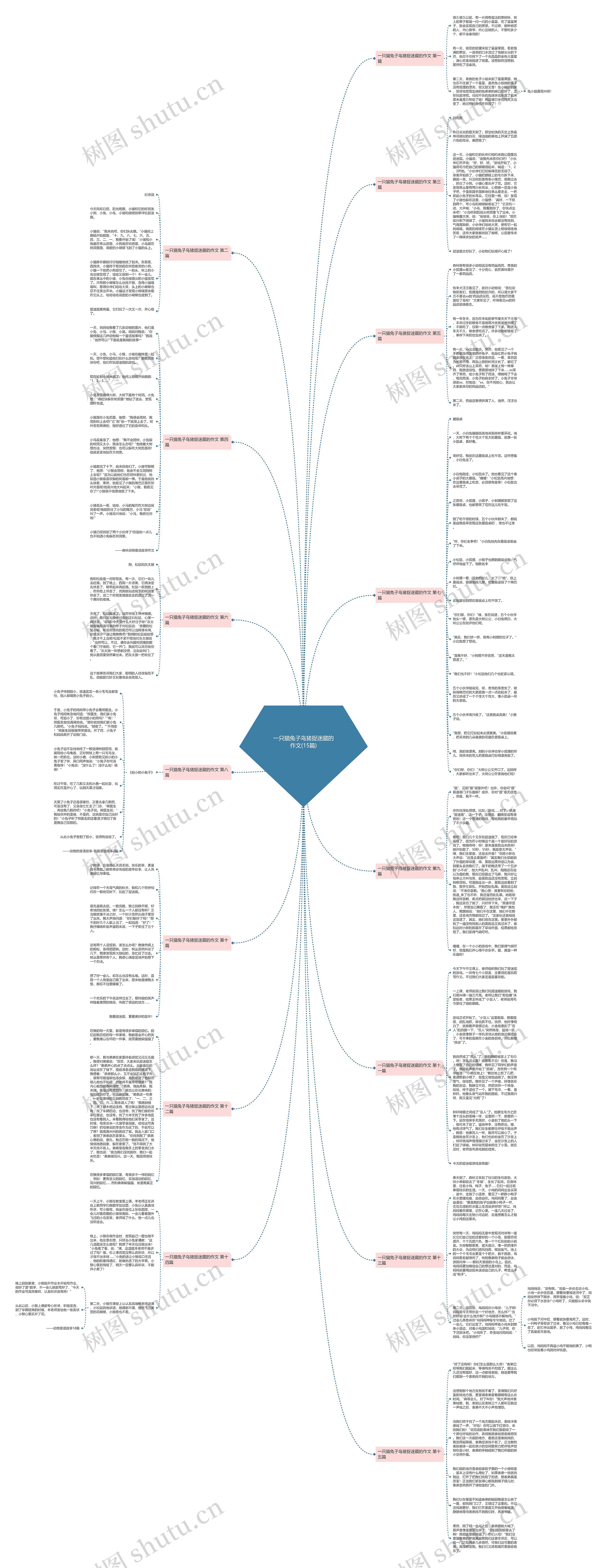 一只猫兔子鸟猪捉迷藏的作文(15篇)思维导图
