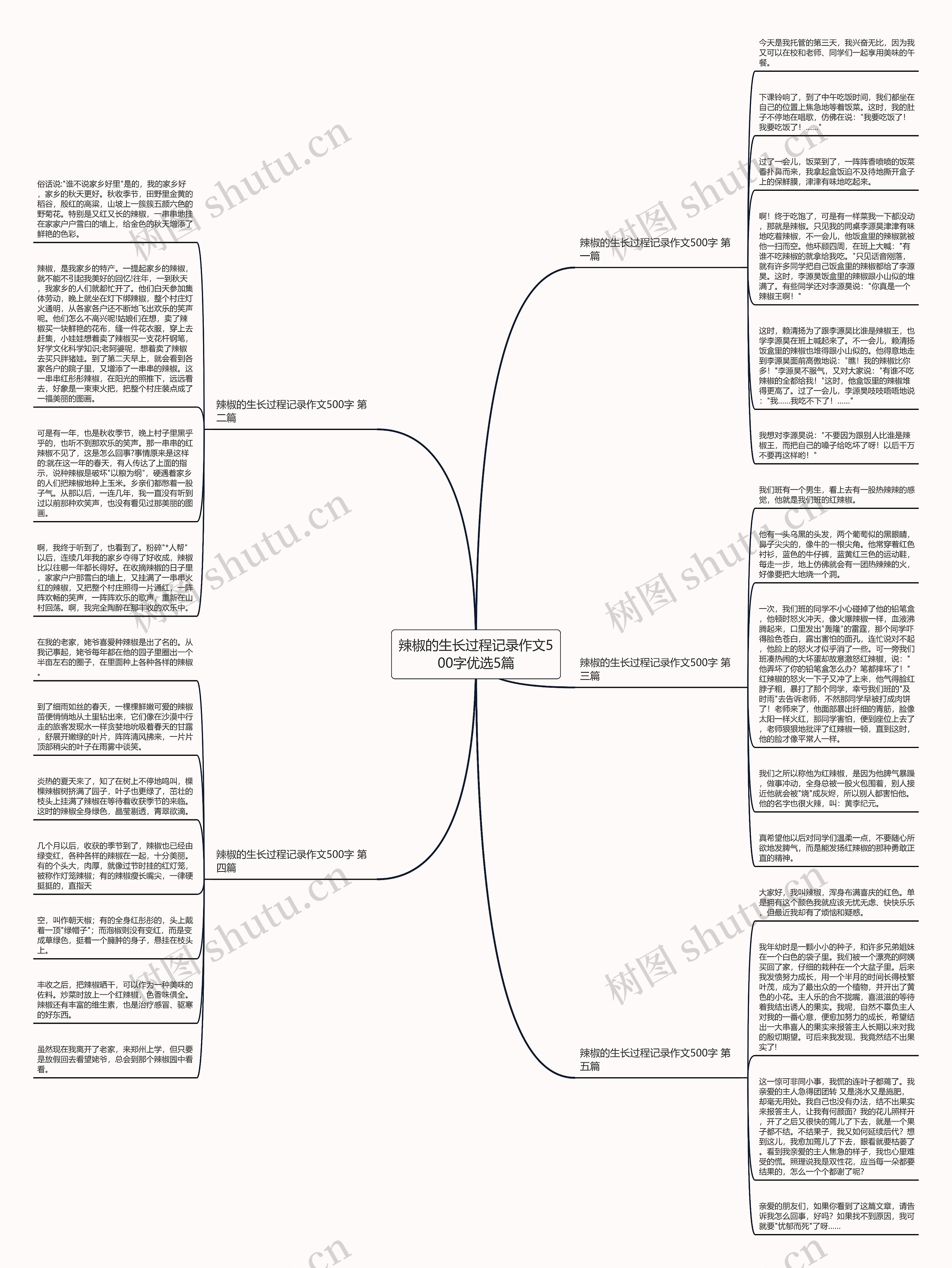 辣椒的生长过程记录作文500字优选5篇思维导图