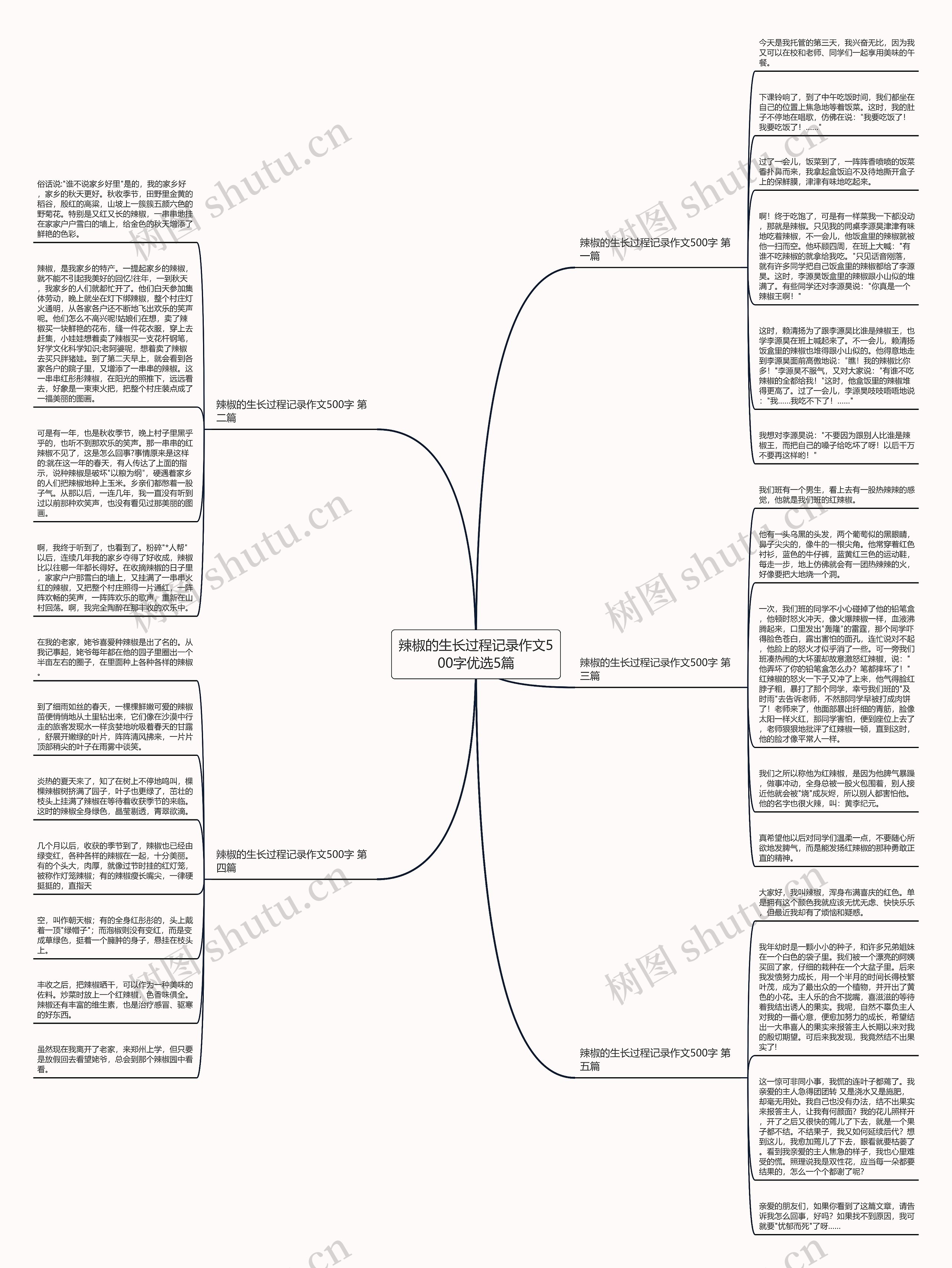 辣椒的生长过程记录作文500字优选5篇 辣椒的生长过程记录作文500字优选5篇