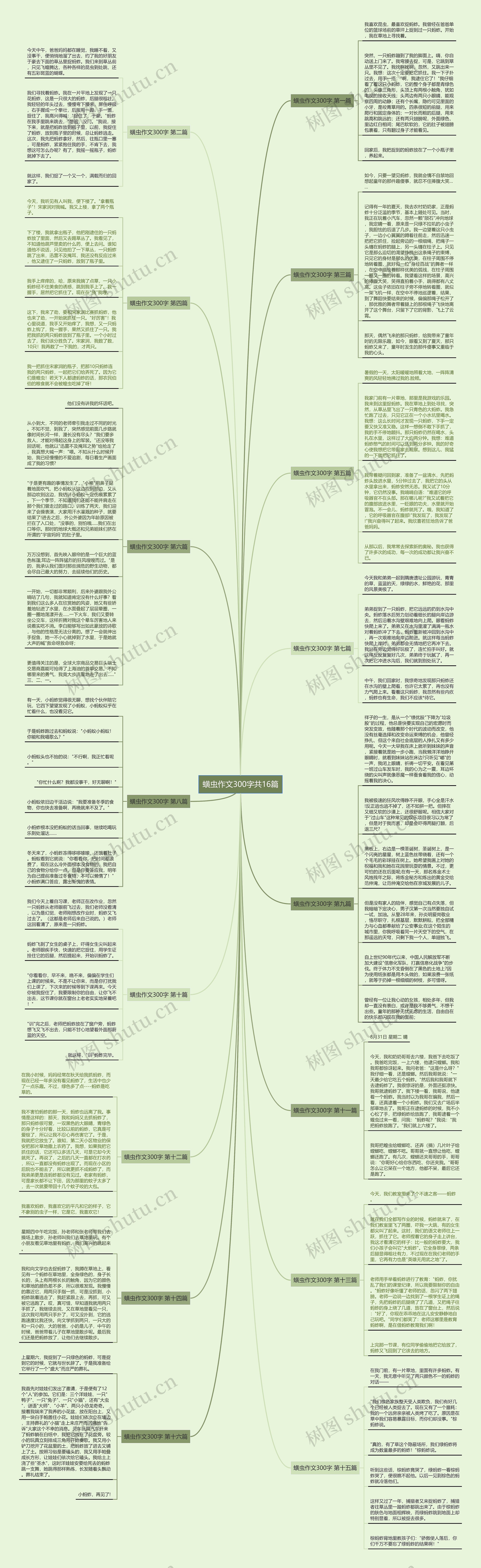 蟥虫作文300字共16篇思维导图