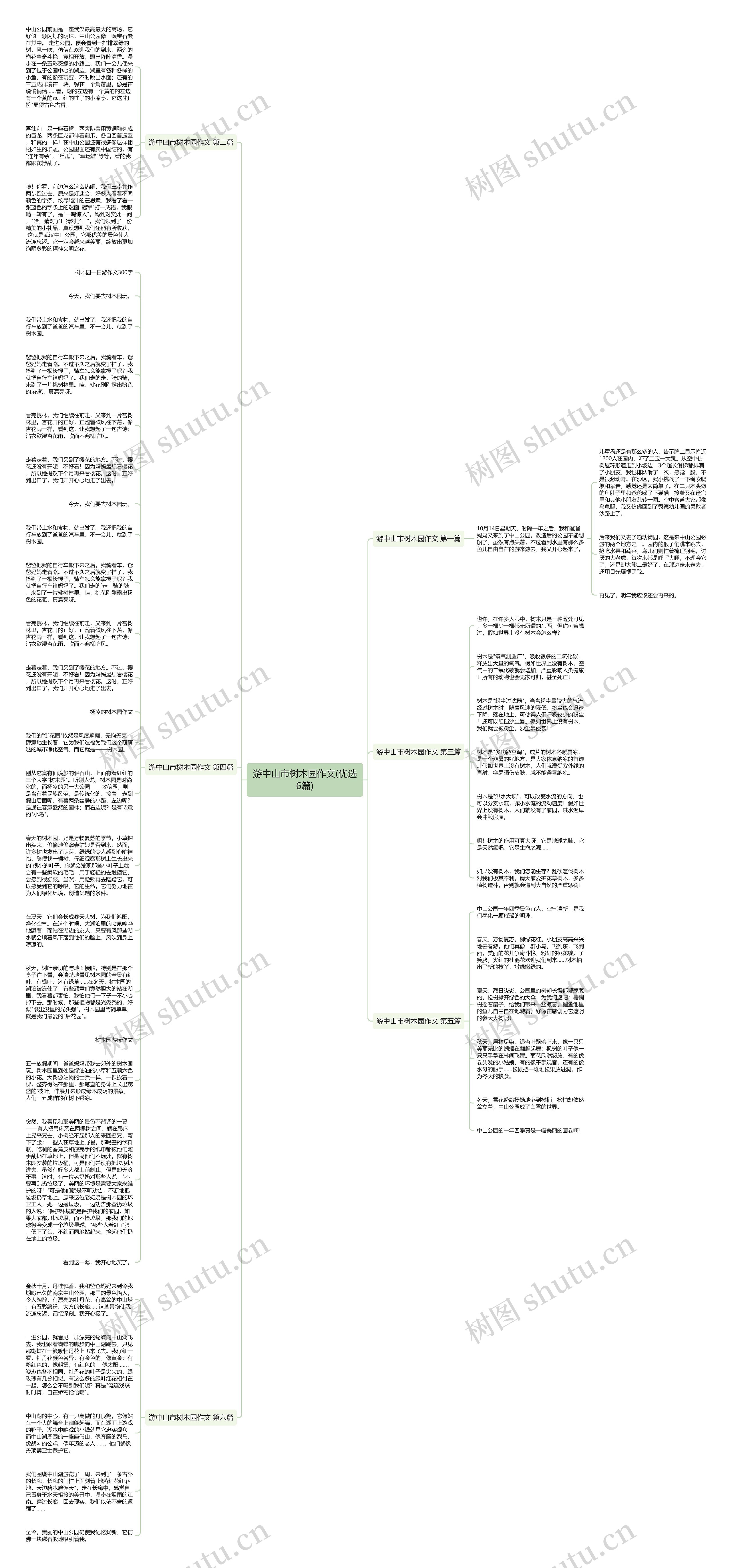 游中山市树木园作文(优选6篇)思维导图