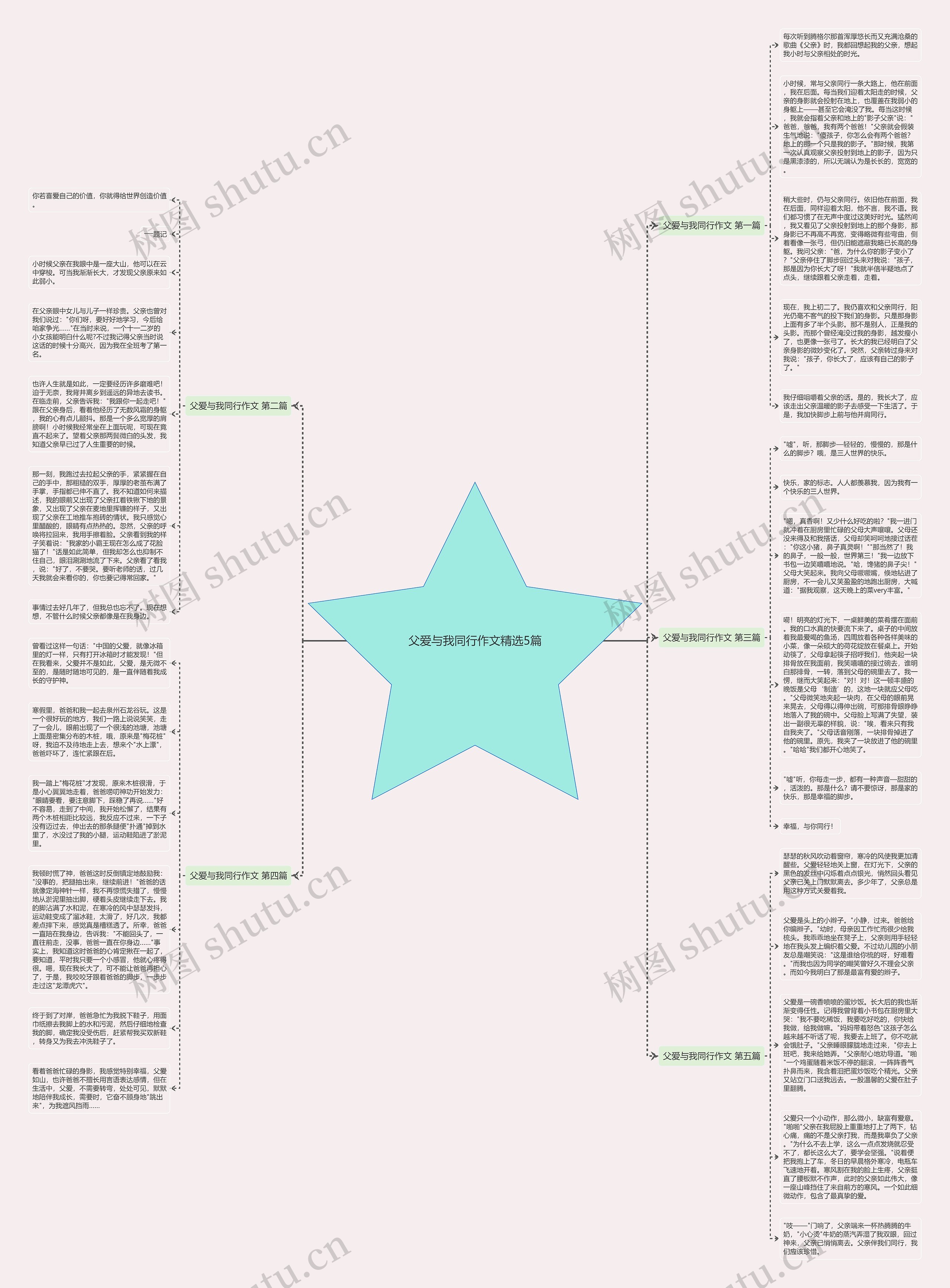 父爱与我同行作文精选5篇思维导图