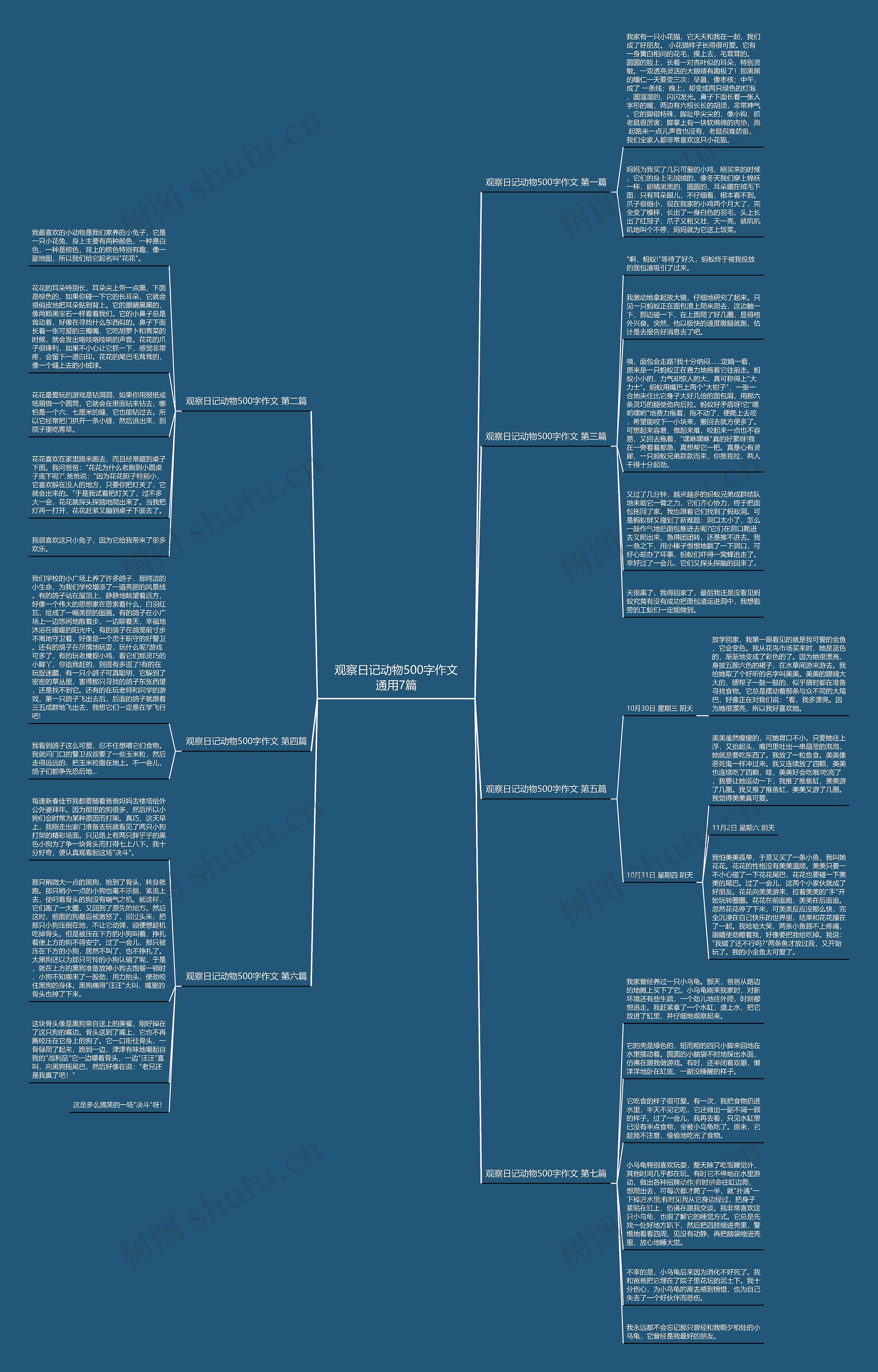 观察日记动物500字作文通用7篇思维导图