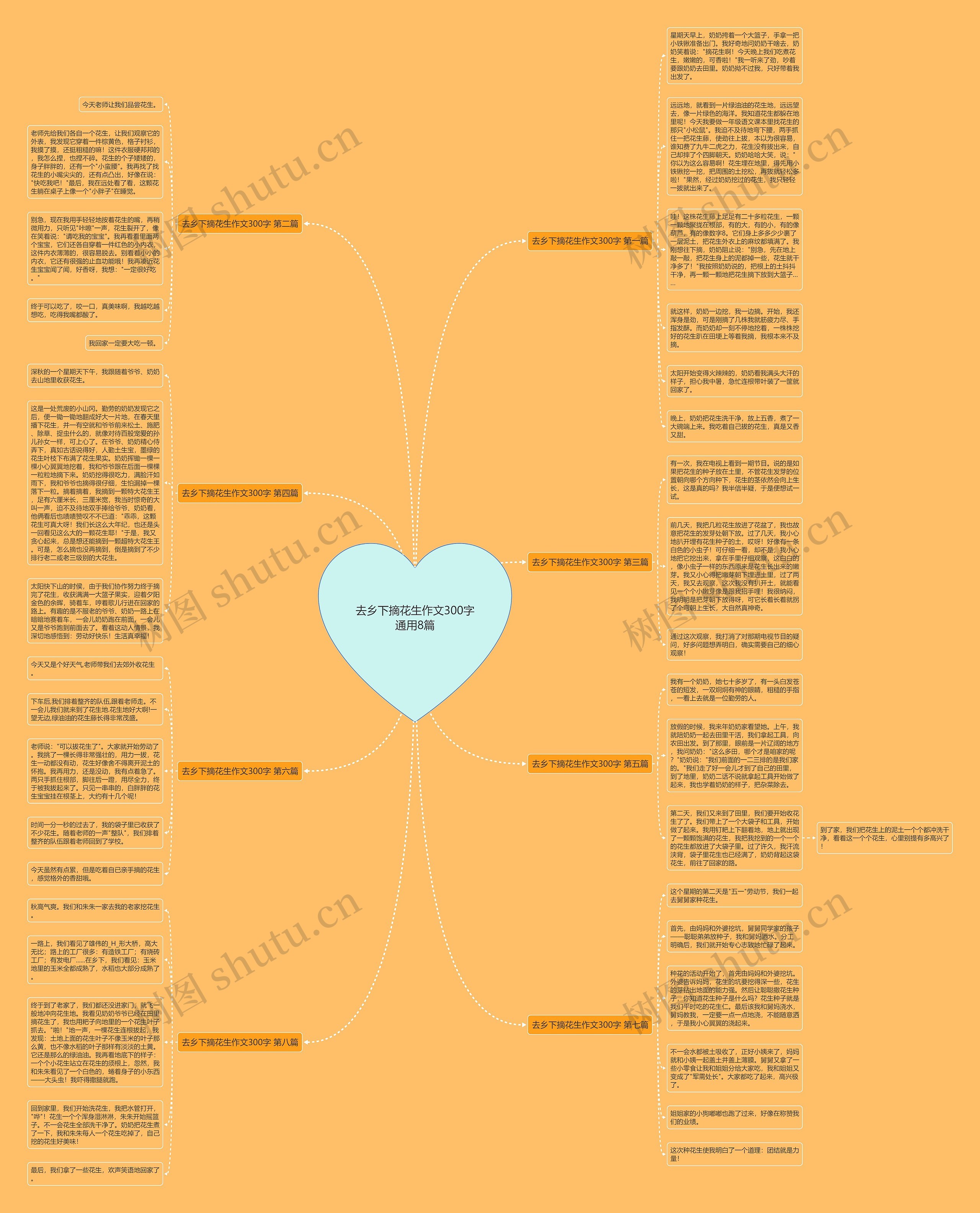 去乡下摘花生作文300字通用8篇思维导图
