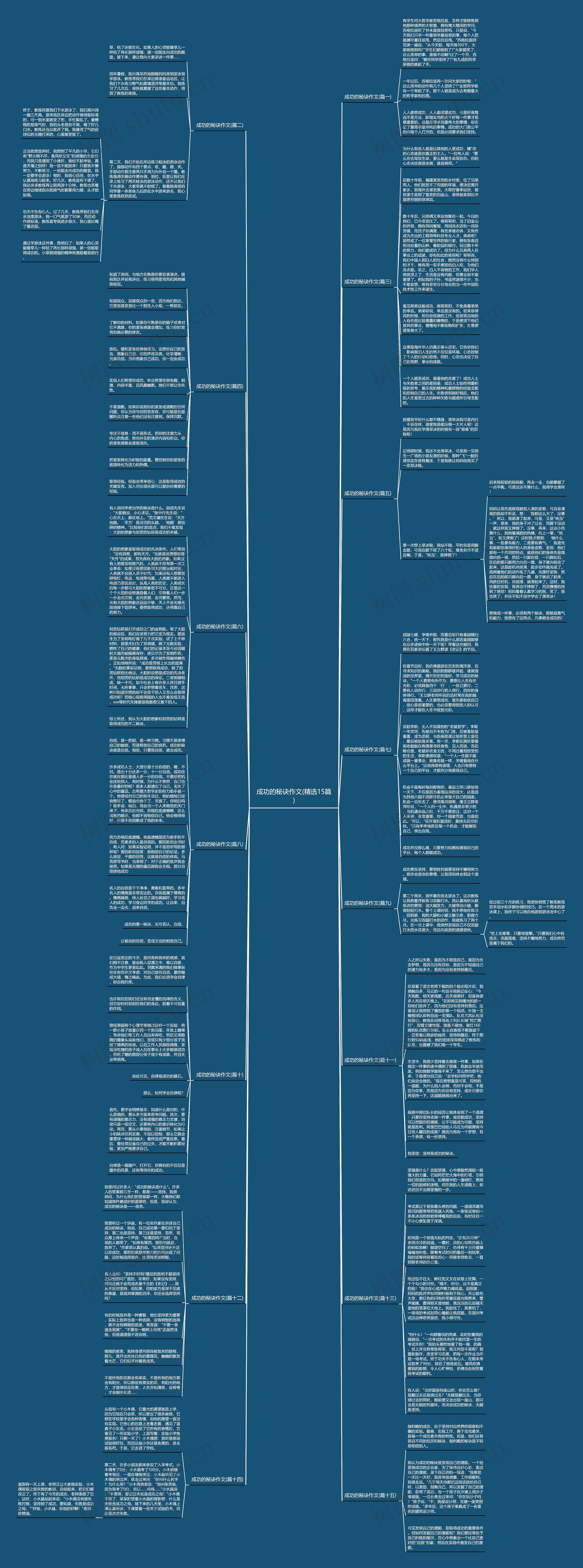 成功的秘诀作文(精选15篇)思维导图