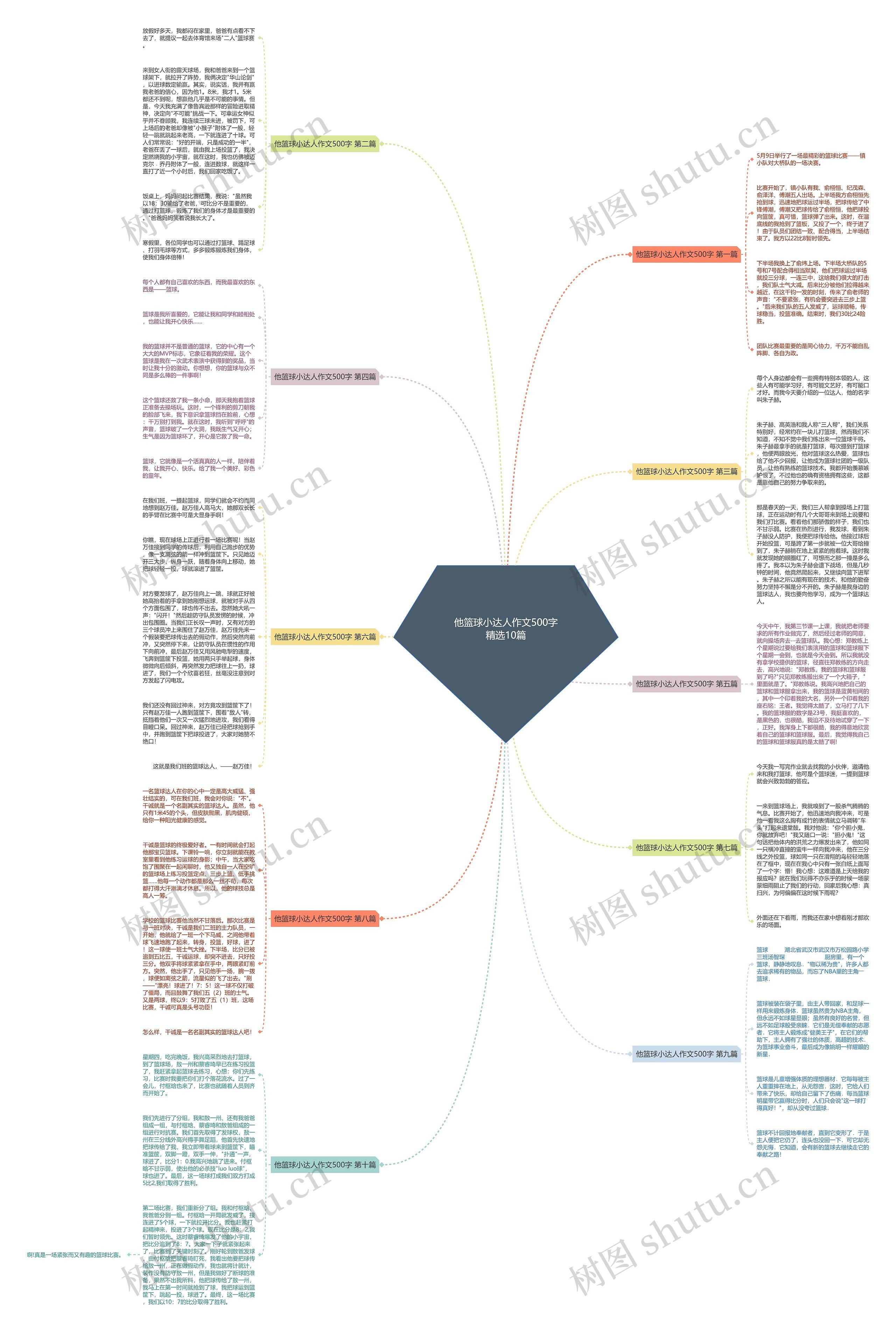 他篮球小达人作文500字精选10篇思维导图