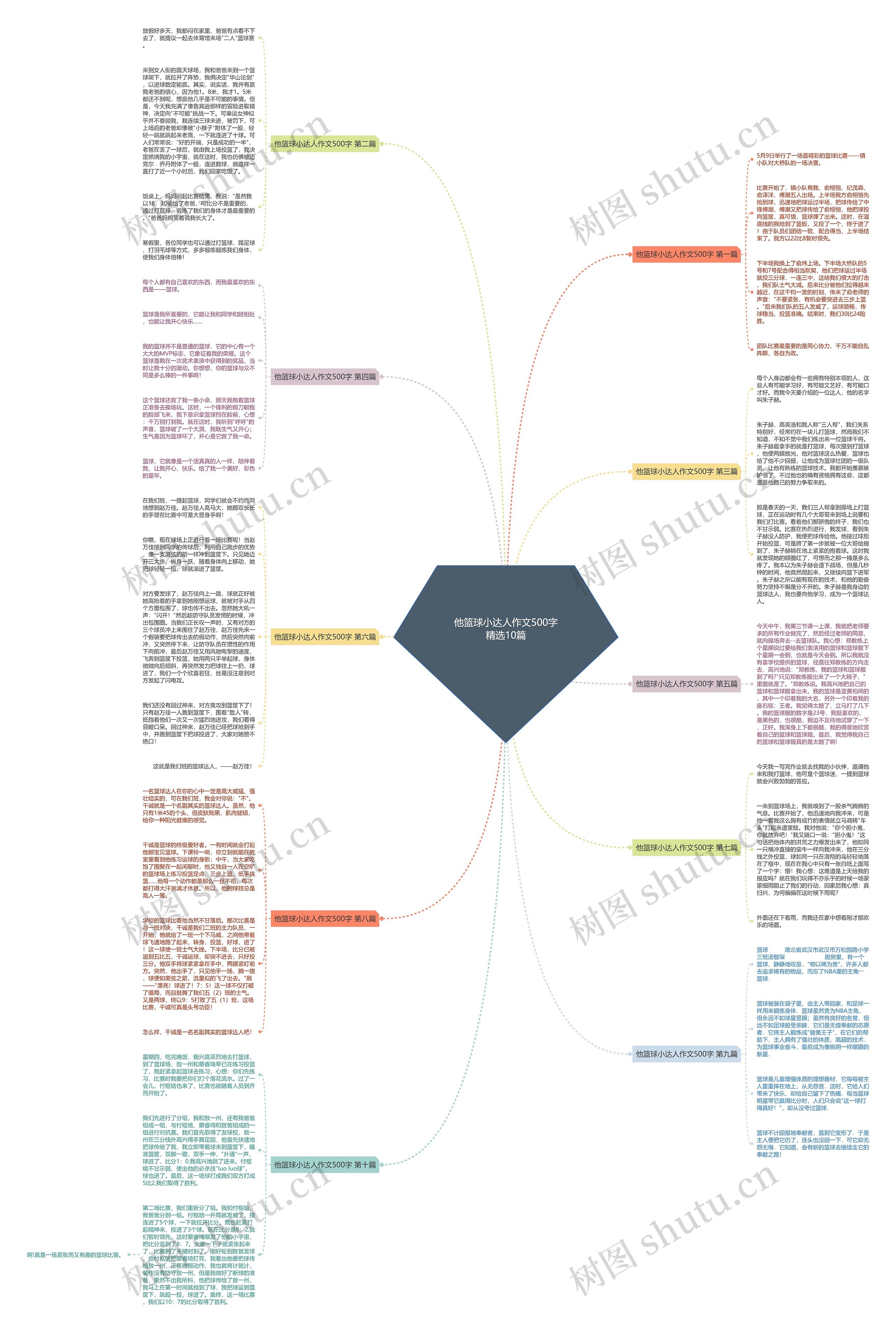 他篮球小达人作文500字精选10篇 他篮球小达人作文500字精选10篇