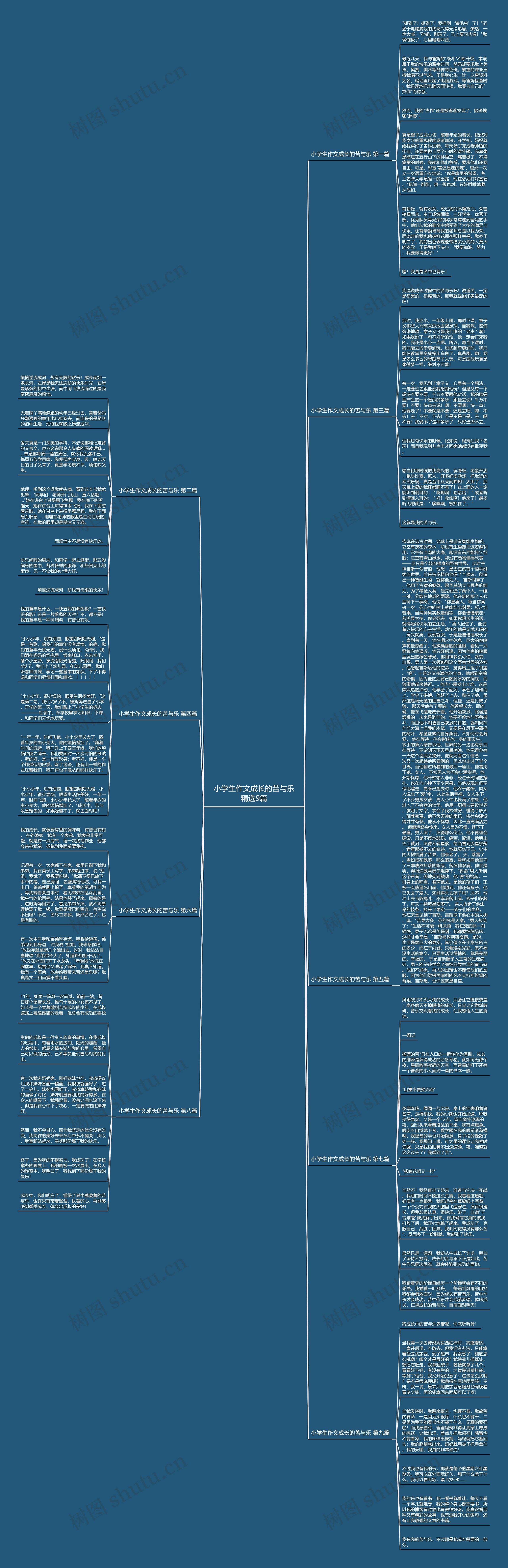 小学生作文成长的苦与乐精选9篇思维导图