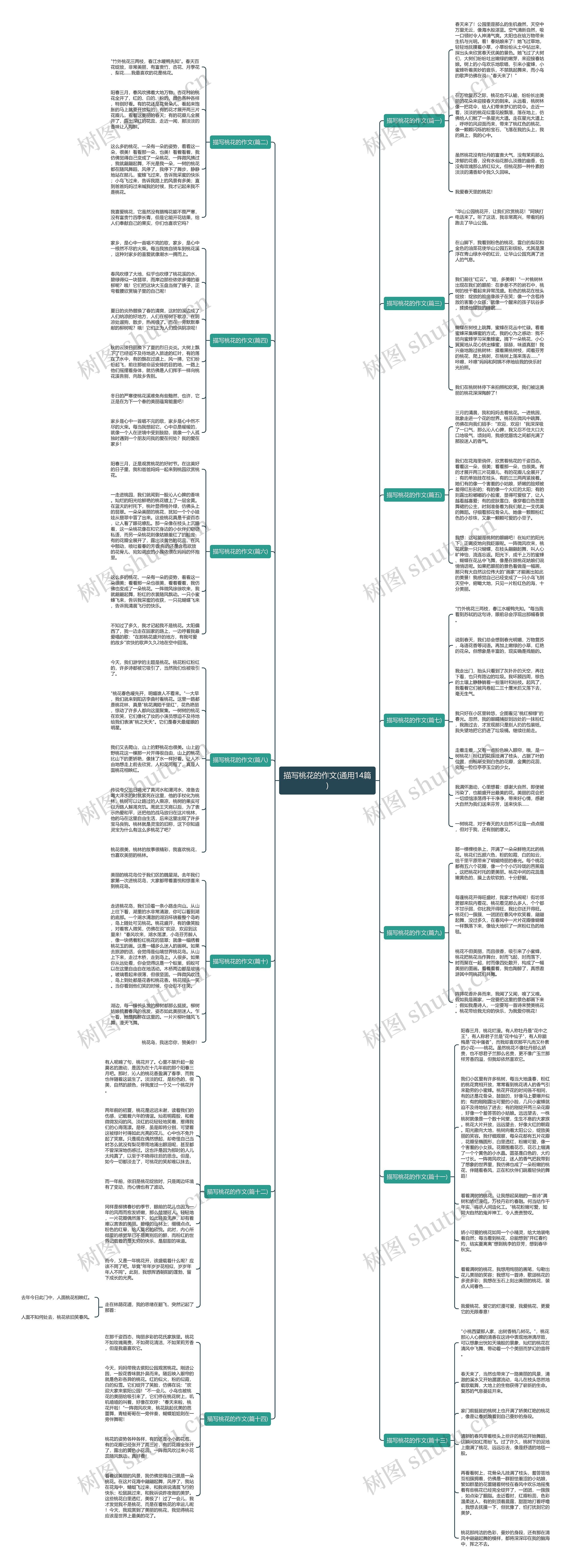 描写桃花的作文(通用14篇)思维导图