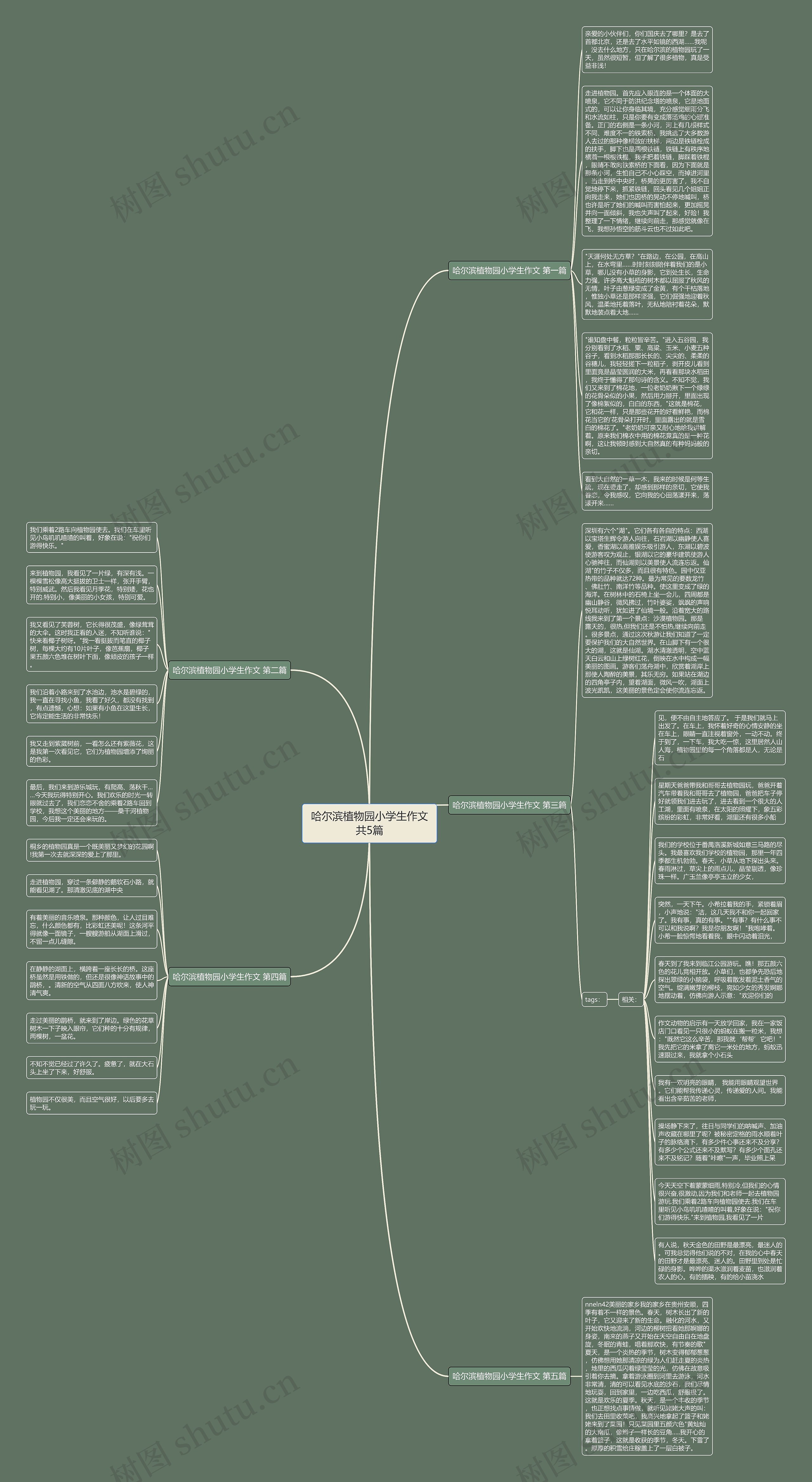哈尔滨植物园小学生作文共5篇思维导图