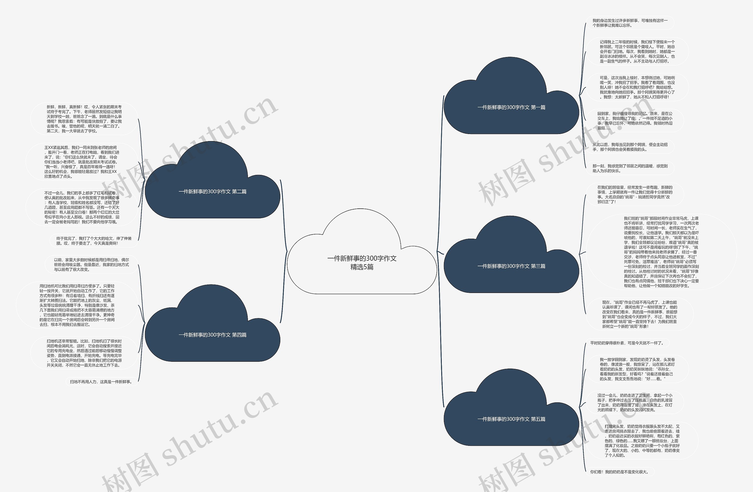 一件新鲜事的300字作文精选5篇思维导图