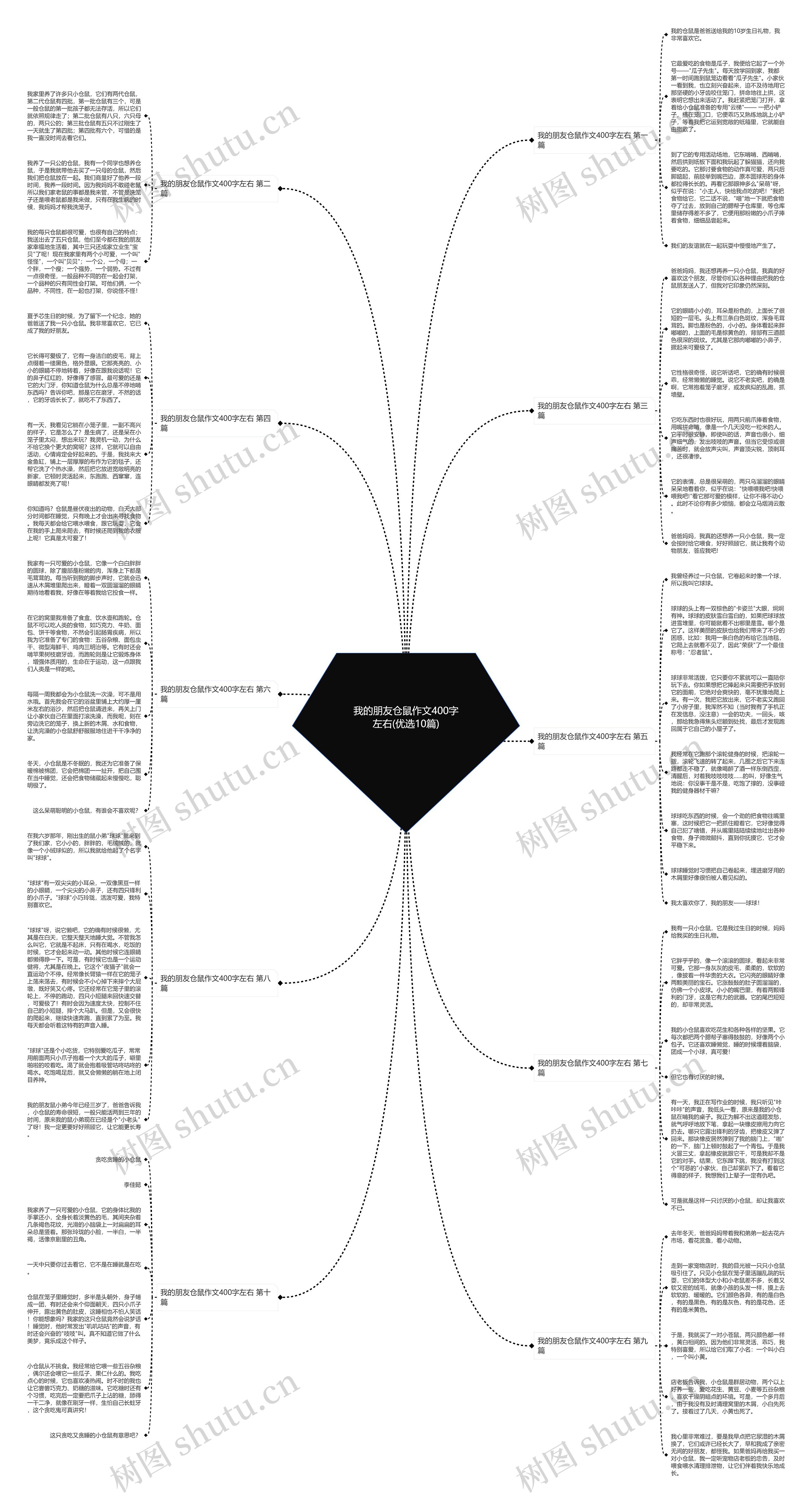 我的朋友仓鼠作文400字左右(优选10篇)思维导图
