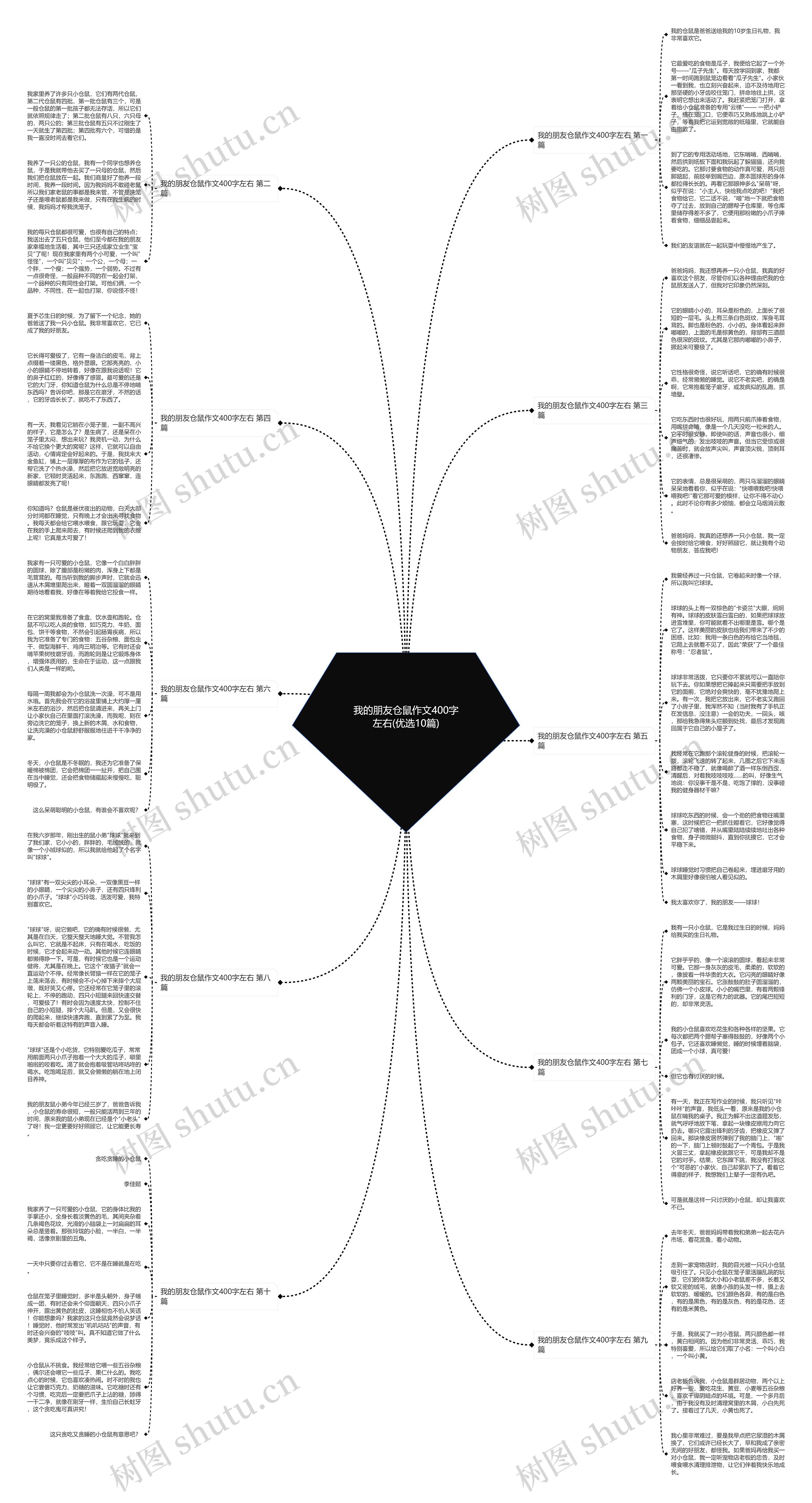 我的朋友仓鼠作文400字左右(优选10篇) 我的朋友仓鼠作文400字左右(优选10篇)