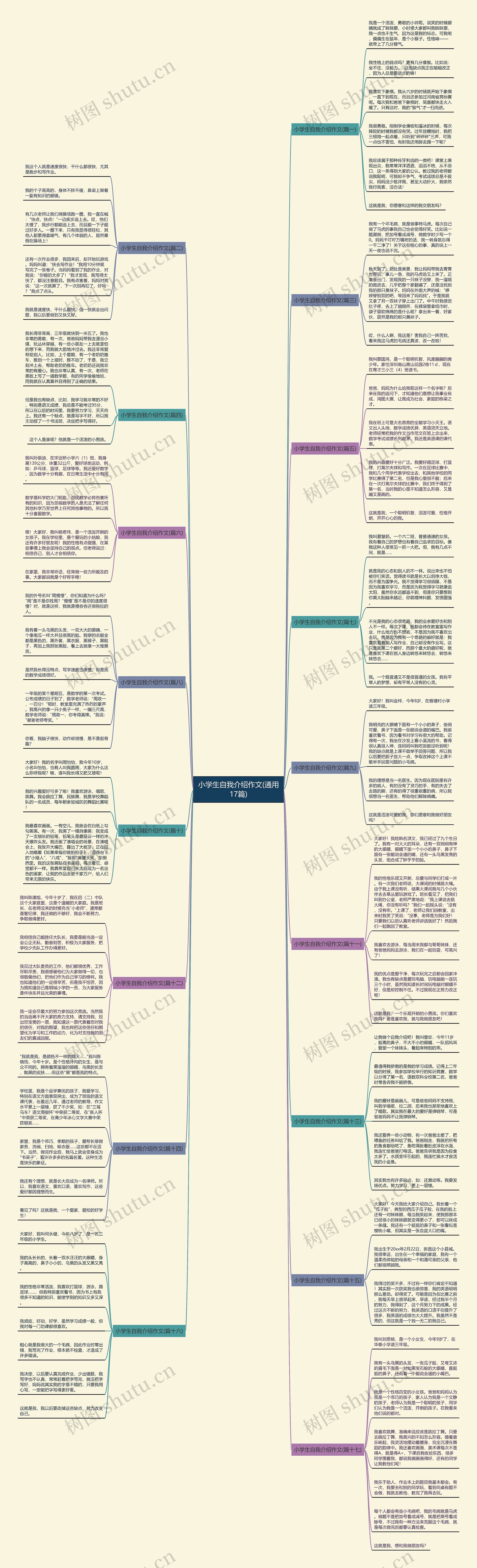 小学生自我介绍作文(通用17篇)思维导图