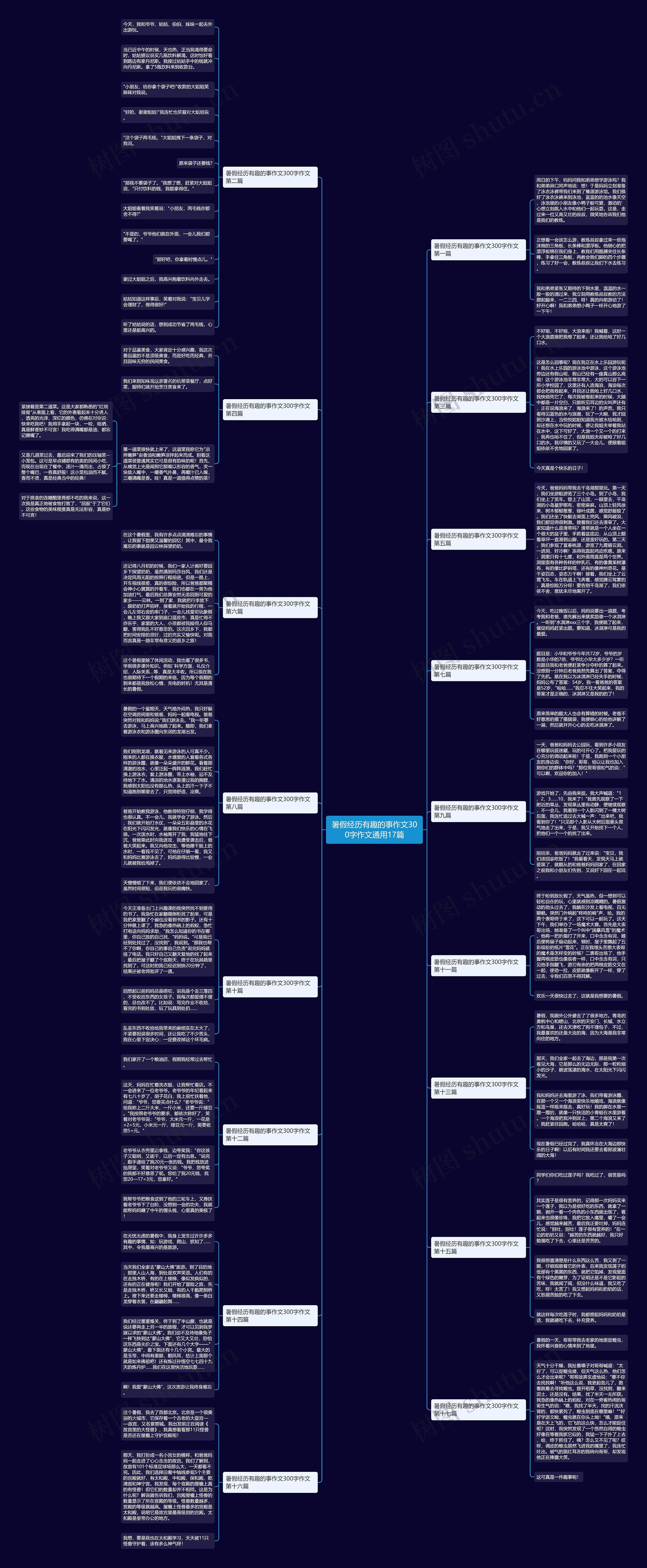 暑假经历有趣的事作文300字作文通用17篇思维导图