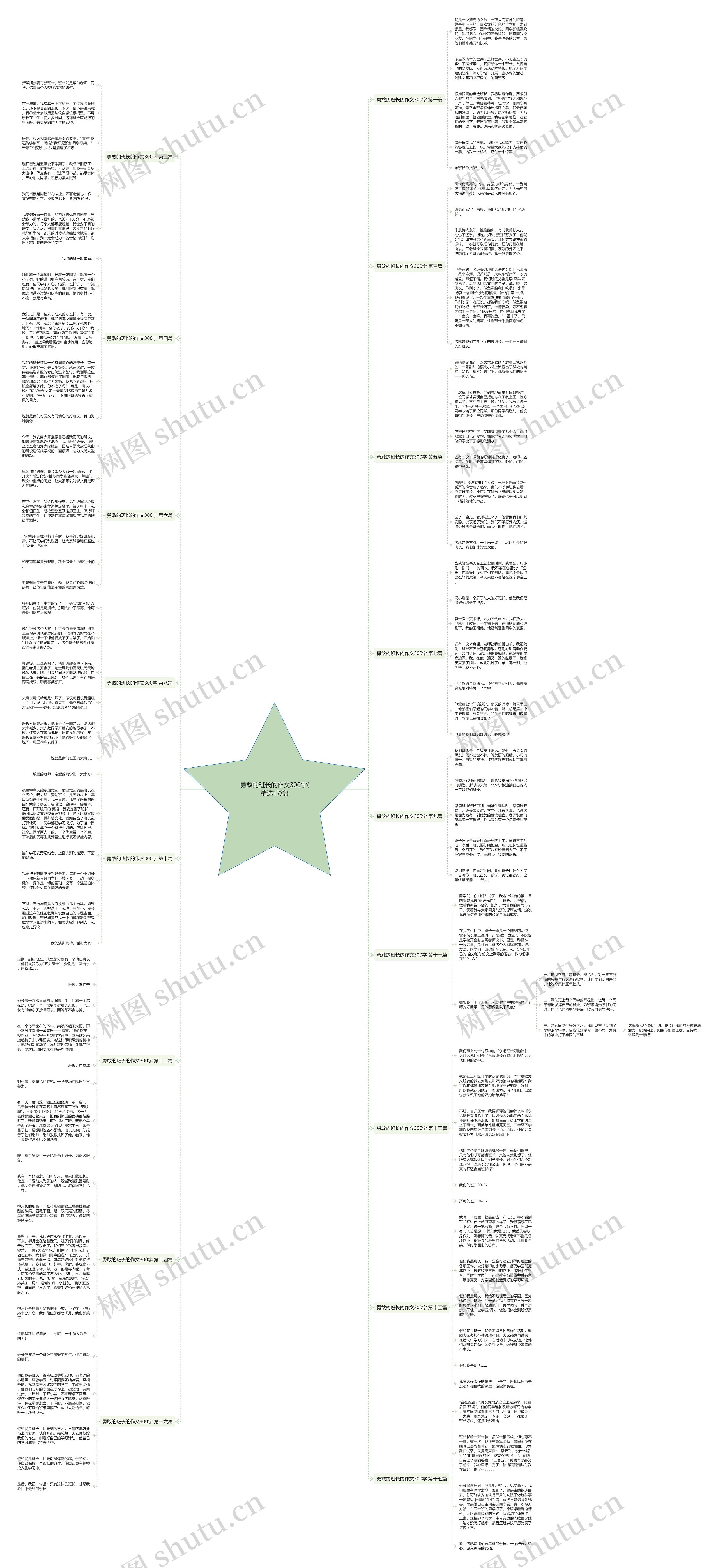 勇敢的班长的作文300字(精选17篇)思维导图
