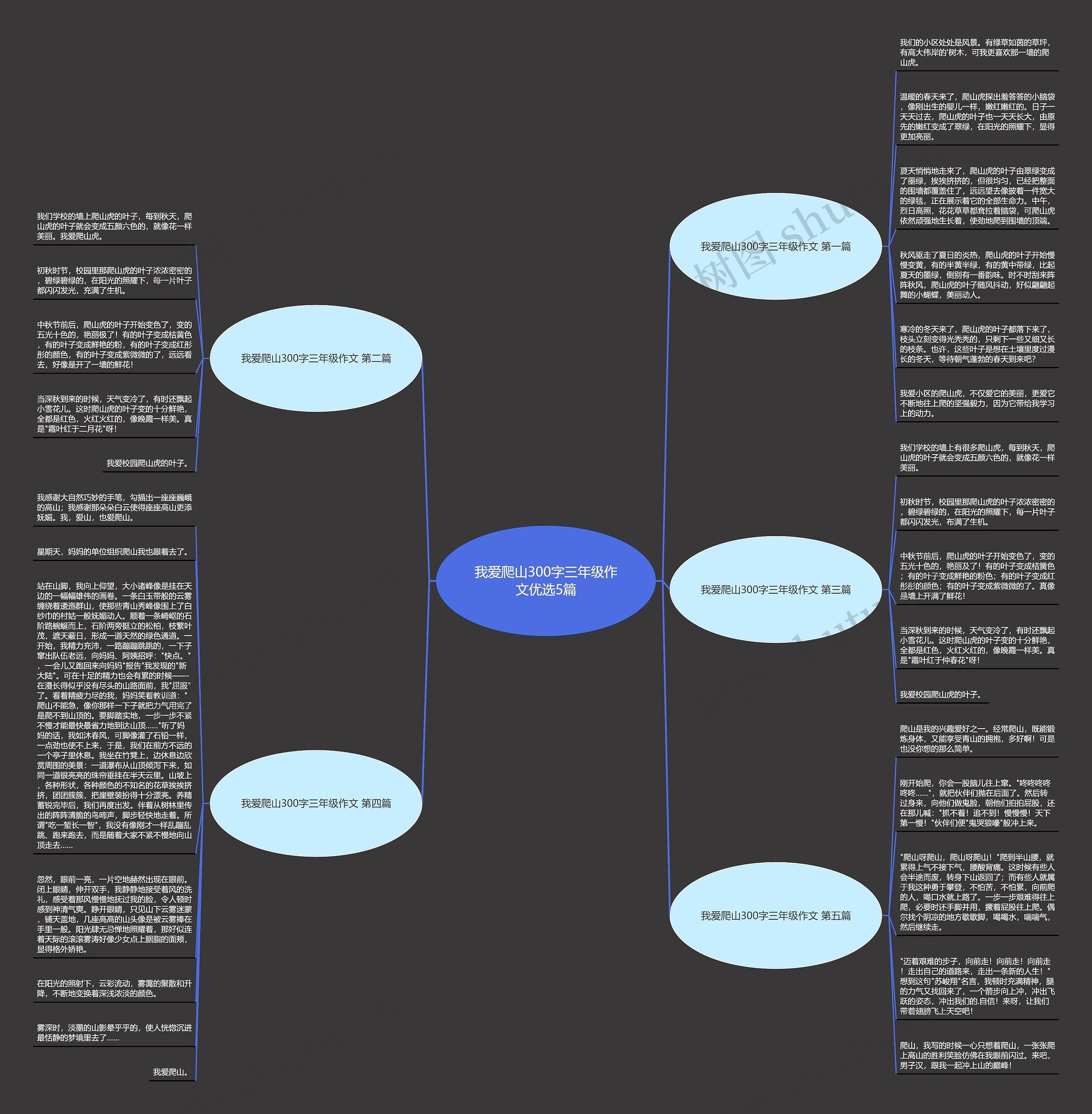 我爱爬山300字三年级作文优选5篇 我爱爬山300字三年级作文优选5篇