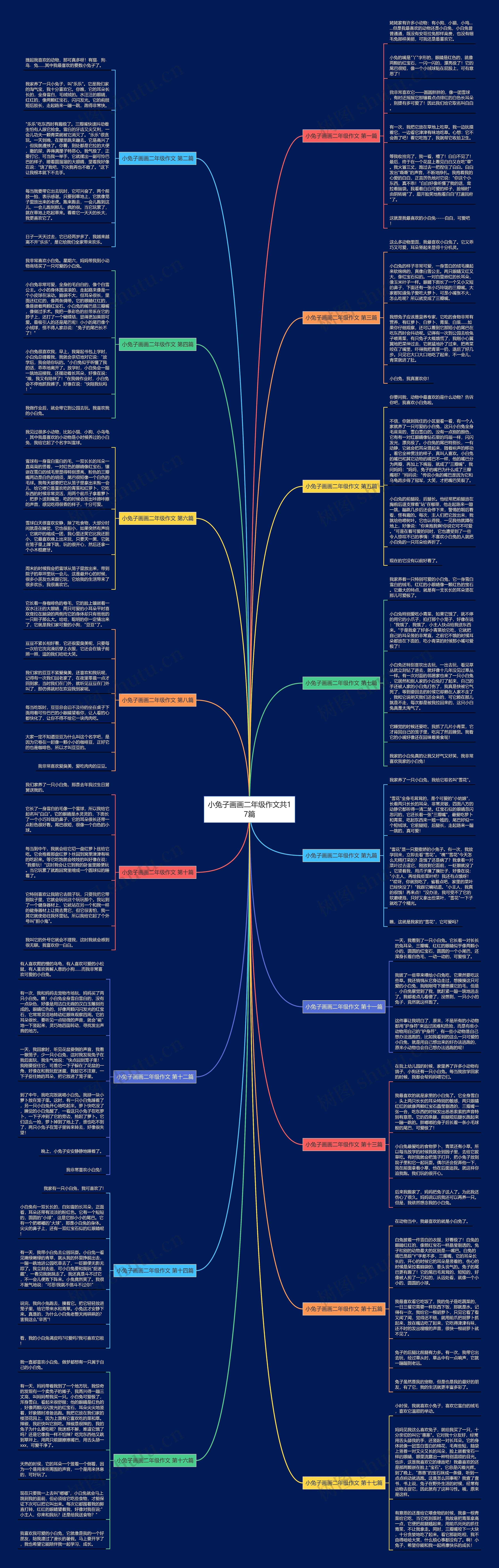 小兔子画画二年级作文共17篇思维导图