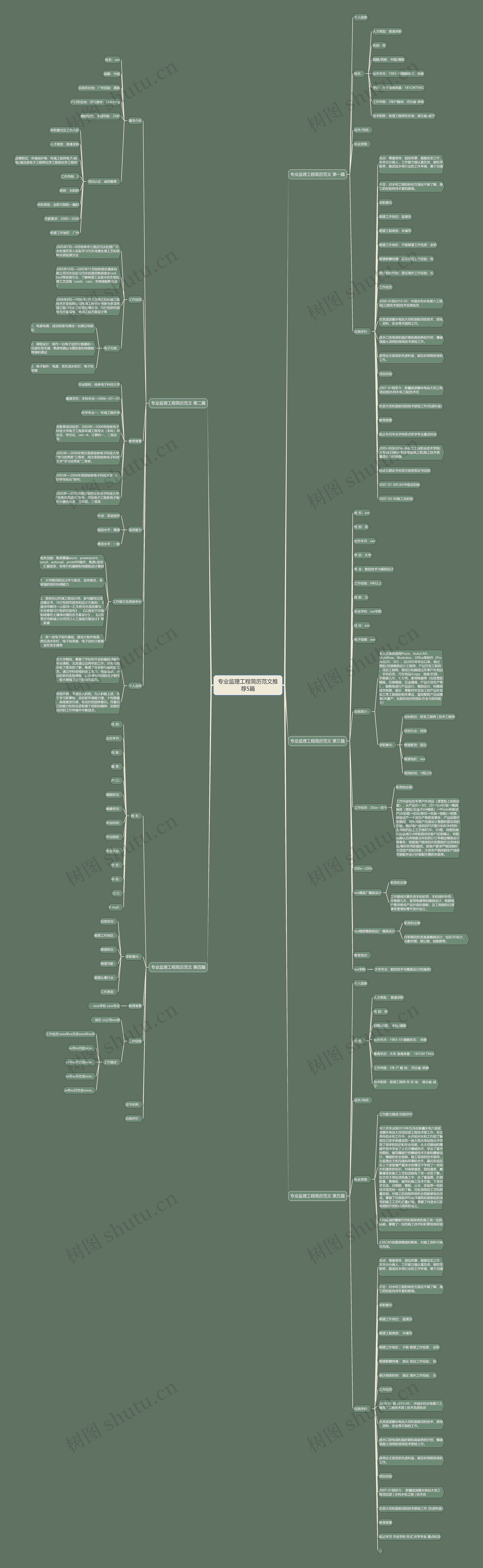 专业监理工程简历范文推荐5篇思维导图