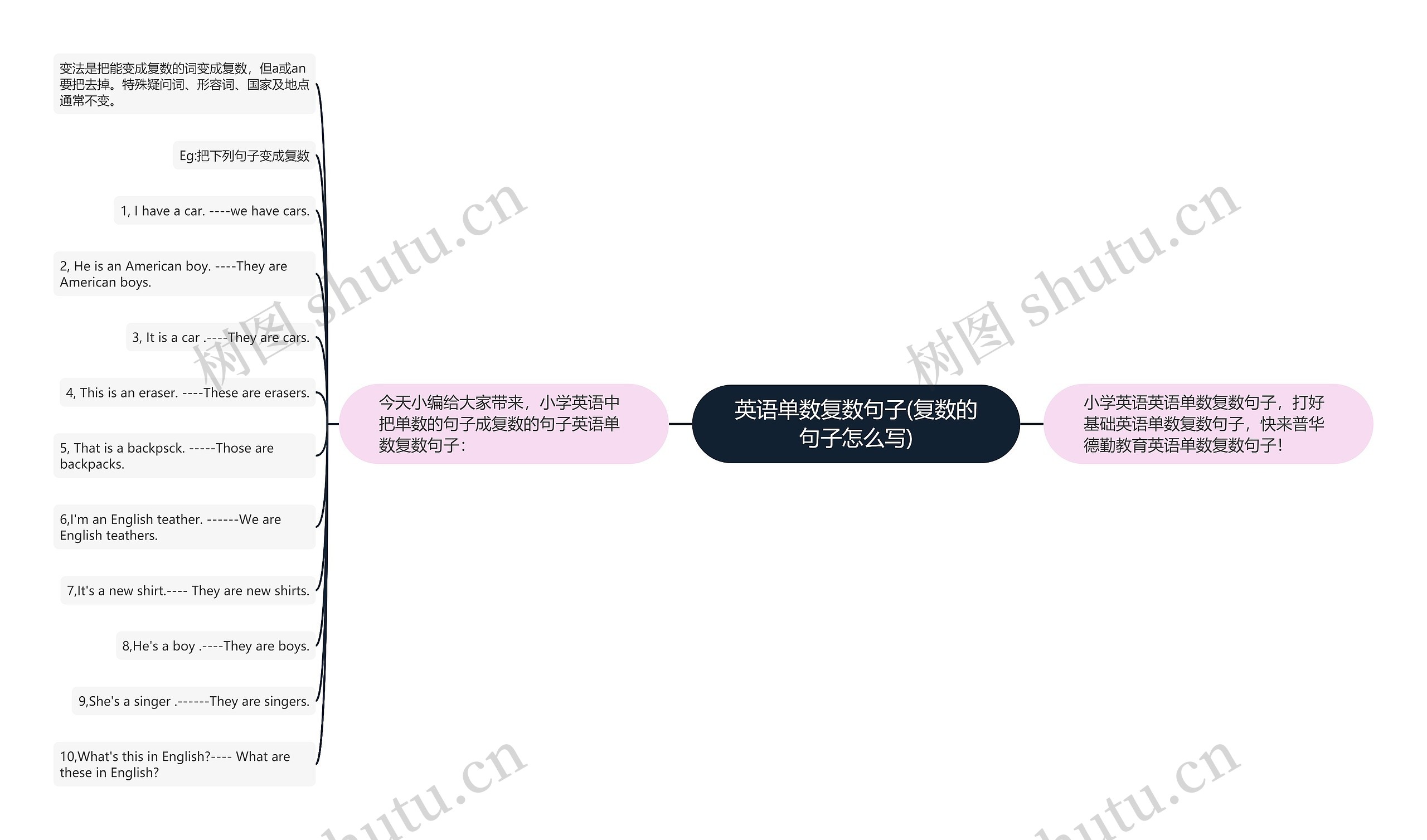 英语单数复数句子(复数的句子怎么写)思维导图