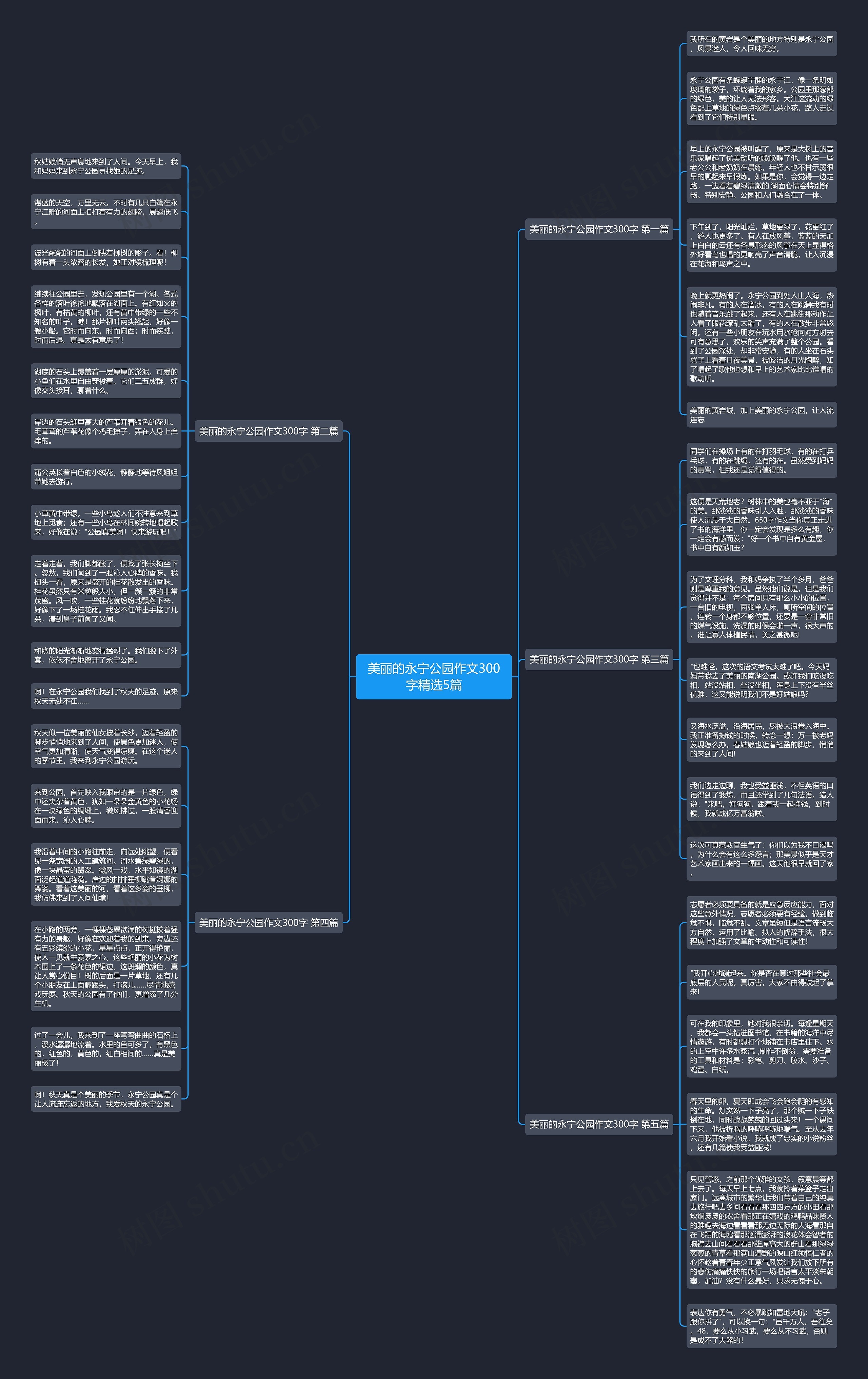 美丽的永宁公园作文300字精选5篇思维导图