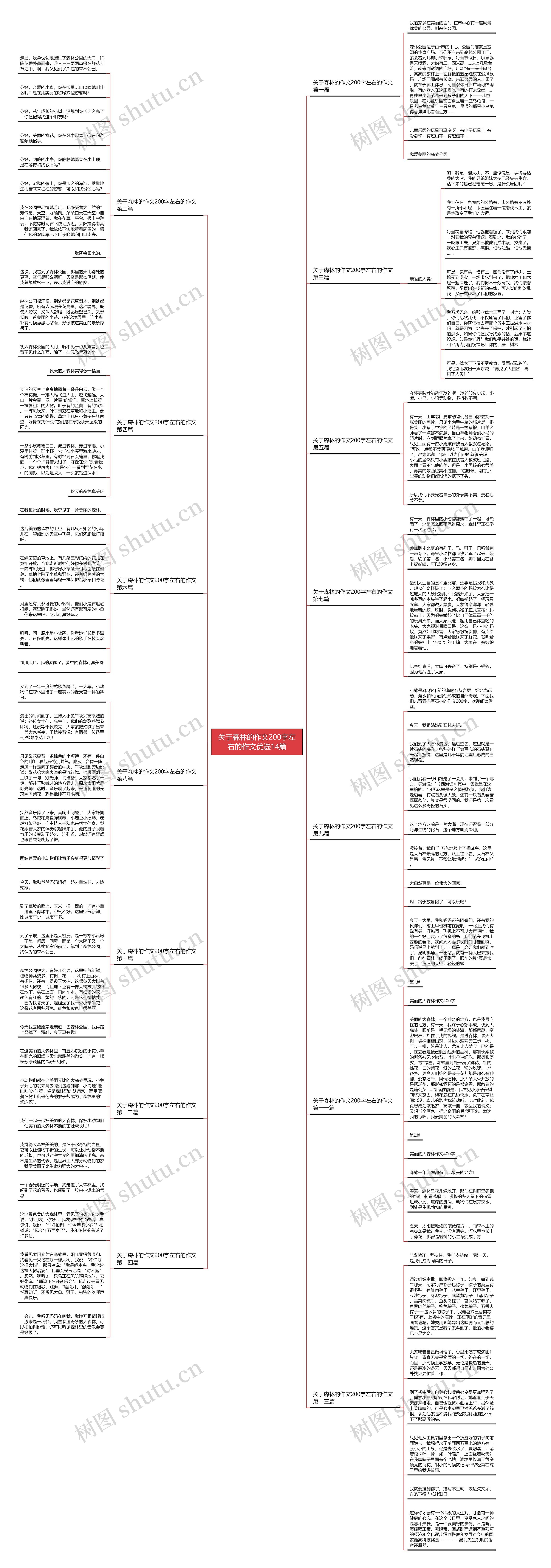 关于森林的作文200字左右的作文优选14篇思维导图