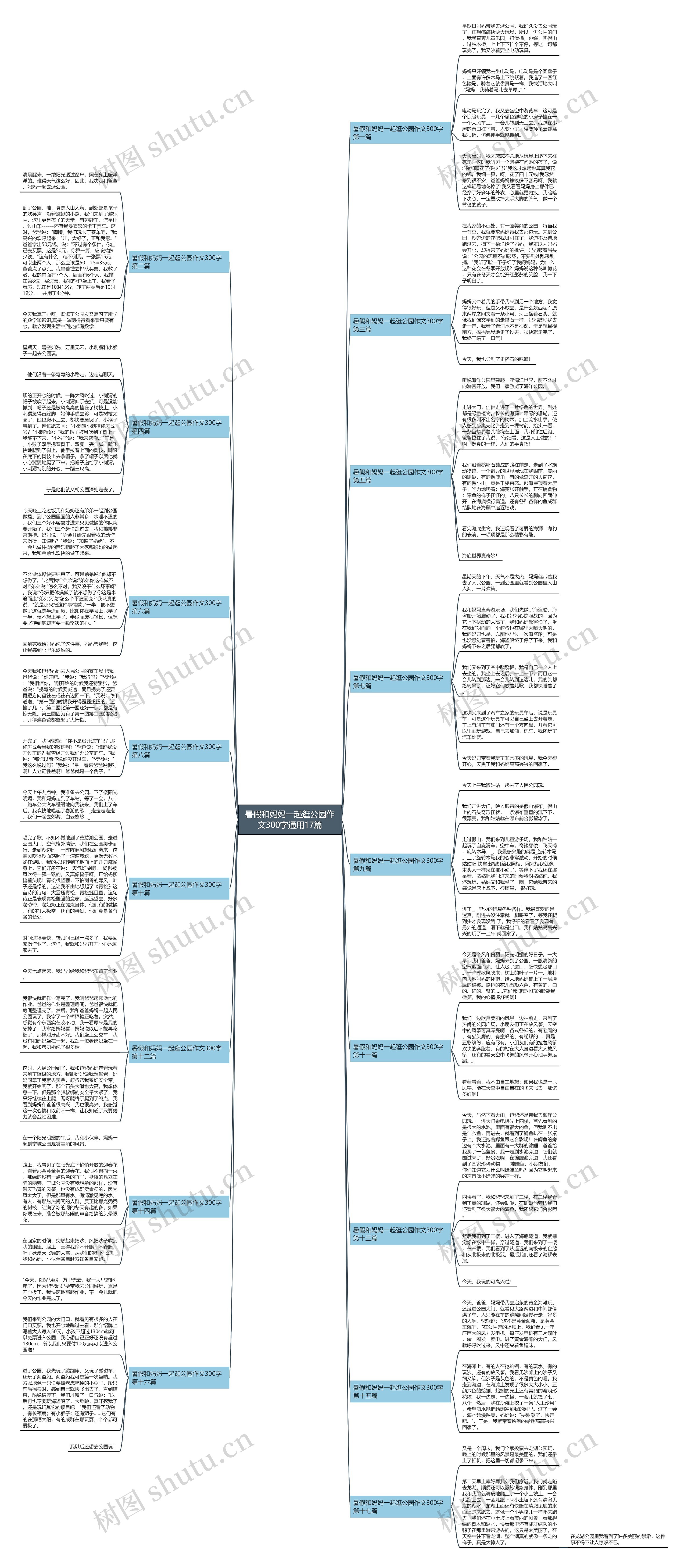 暑假和妈妈一起逛公园作文300字通用17篇思维导图